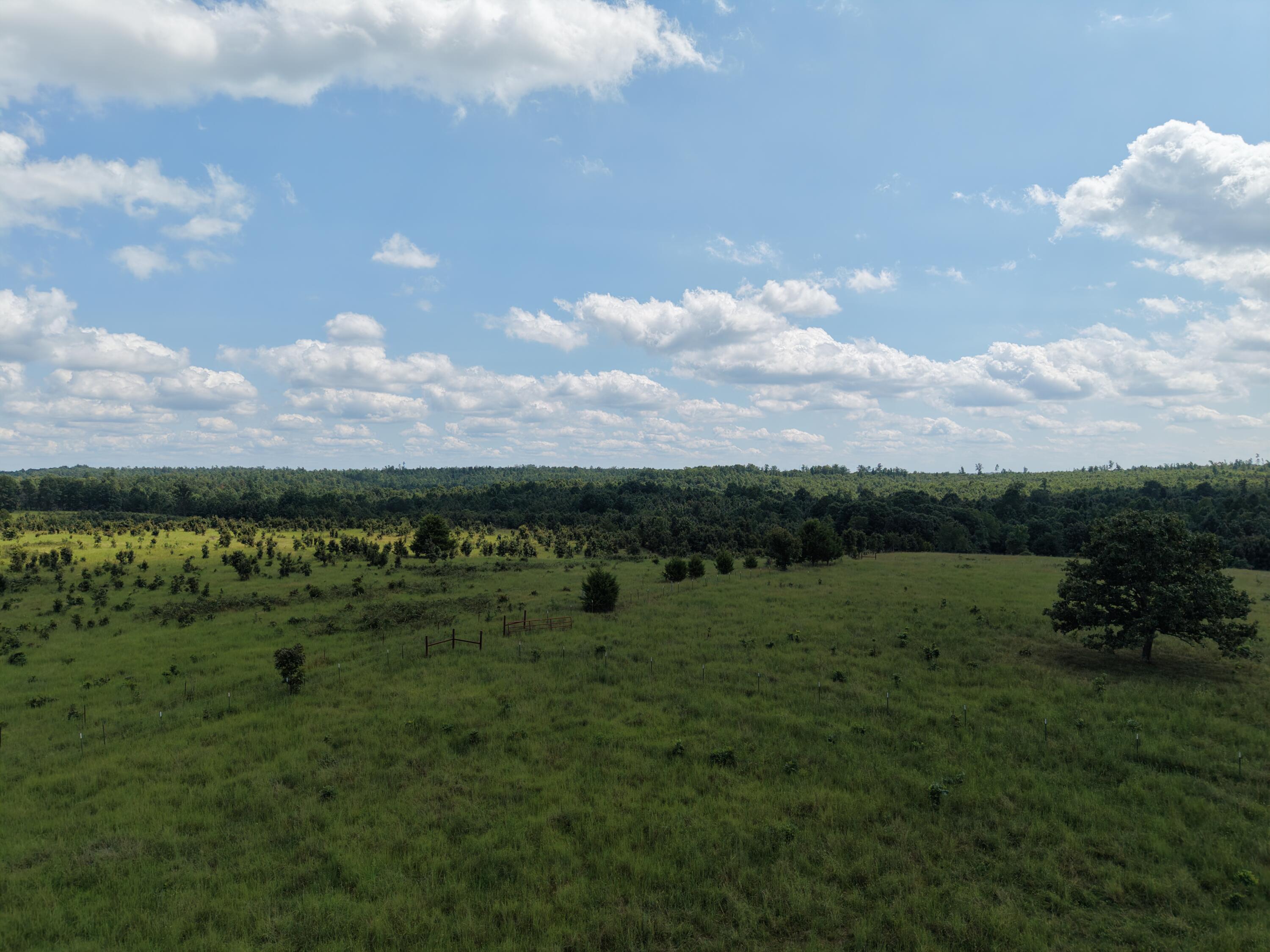 2285 County Road 437-b Property Photo 45