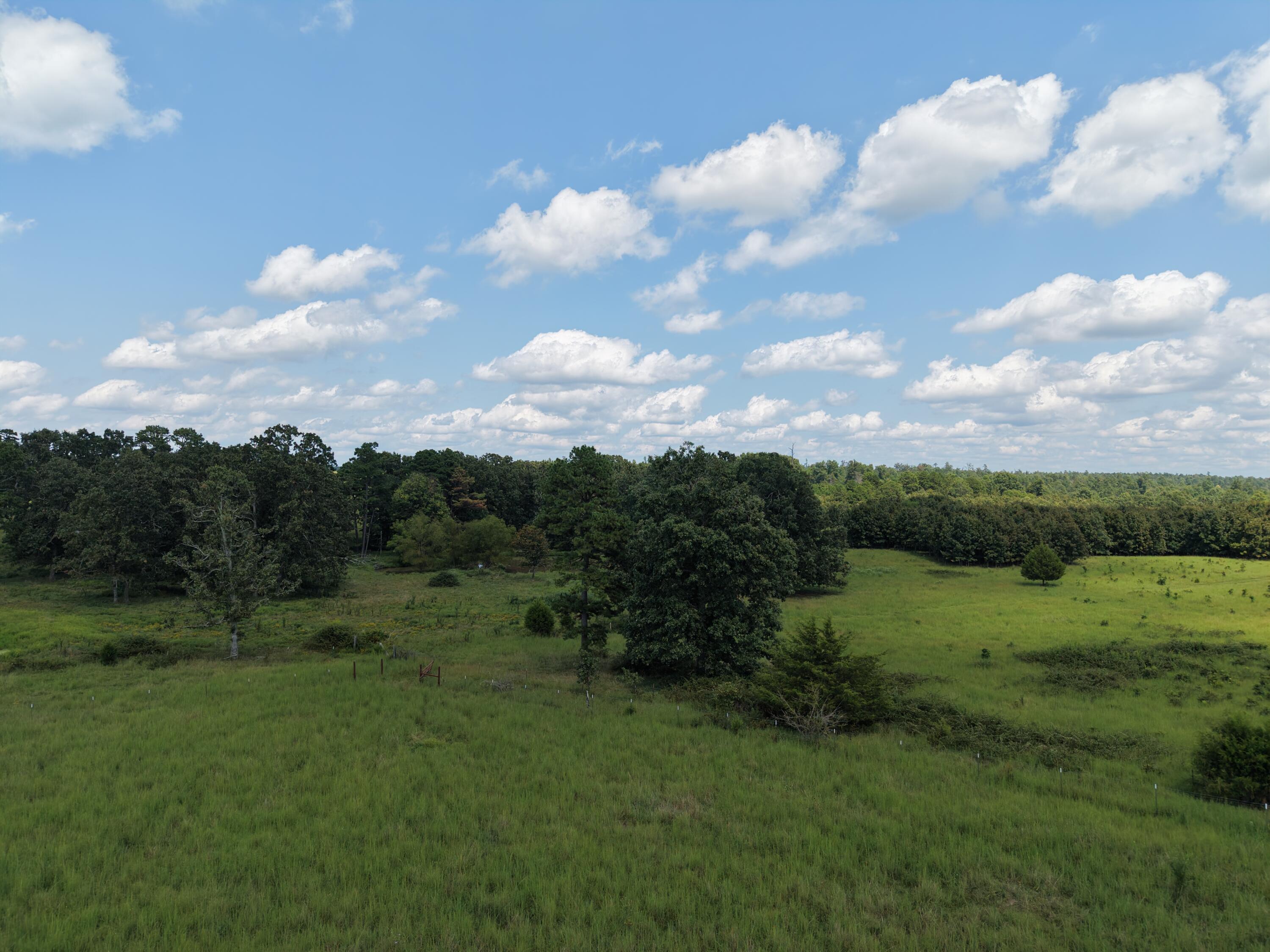 2285 County Road 437-b Property Photo 46