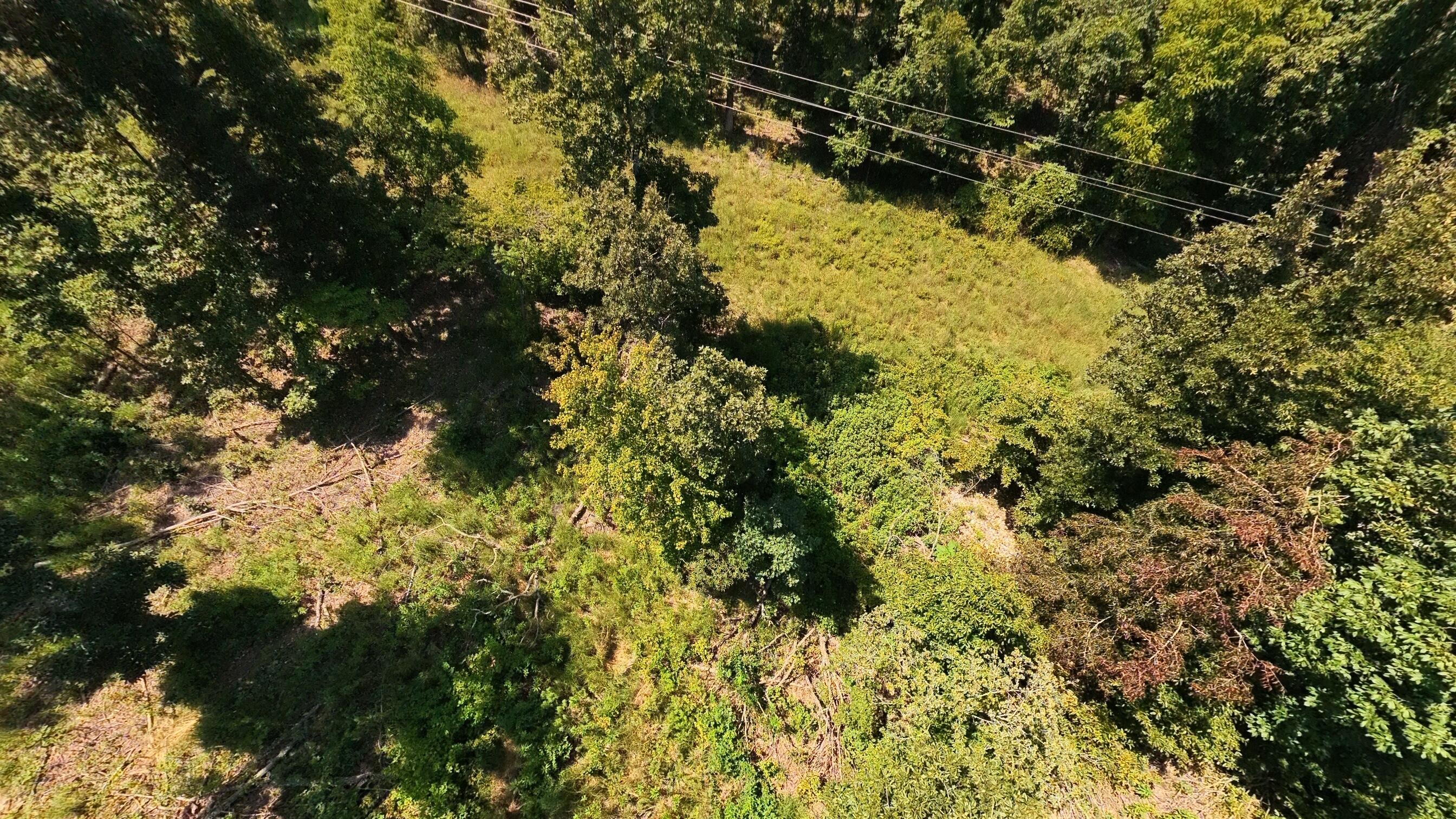 000 County Road 127 Property Photo 10