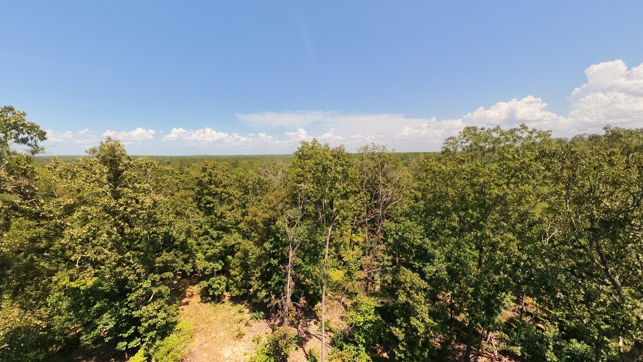 000 County Road 127 Property Photo 15