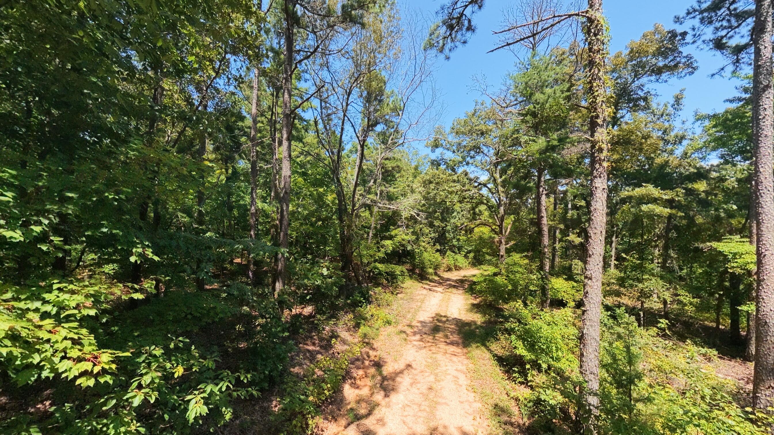 000 County Road 127 Property Photo 18