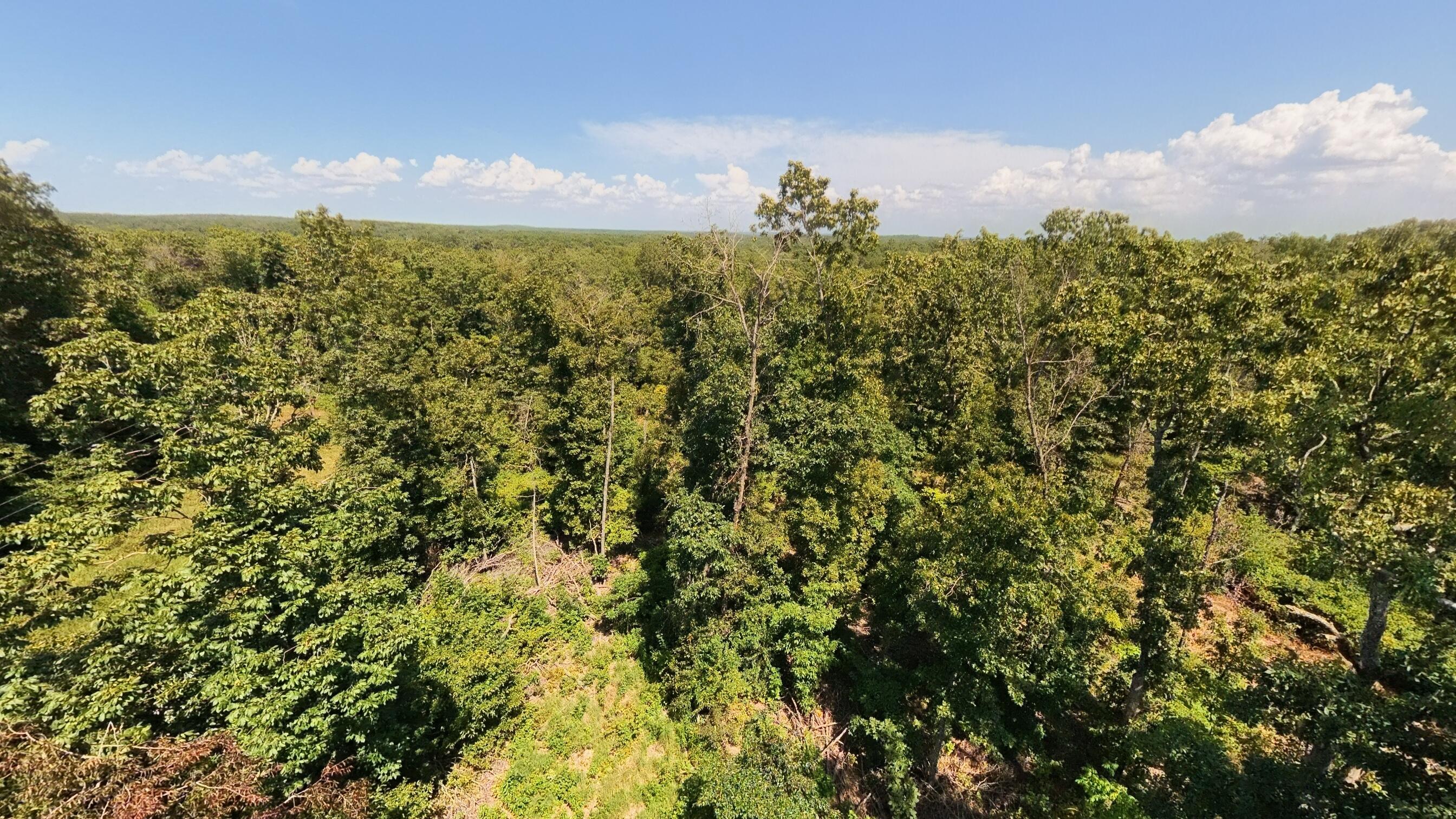 000 County Road 127 Property Photo 19