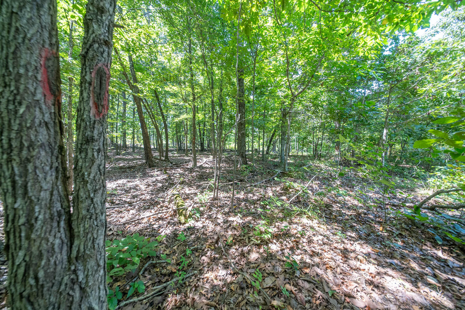 000 County Road 127 Property Photo 22