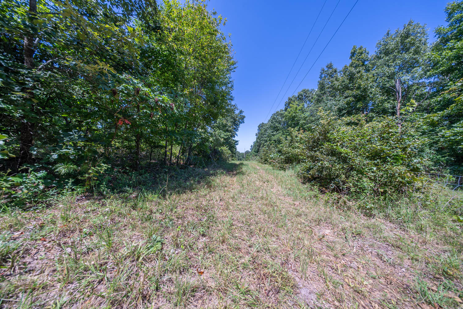 000 County Road 127 Property Photo 23