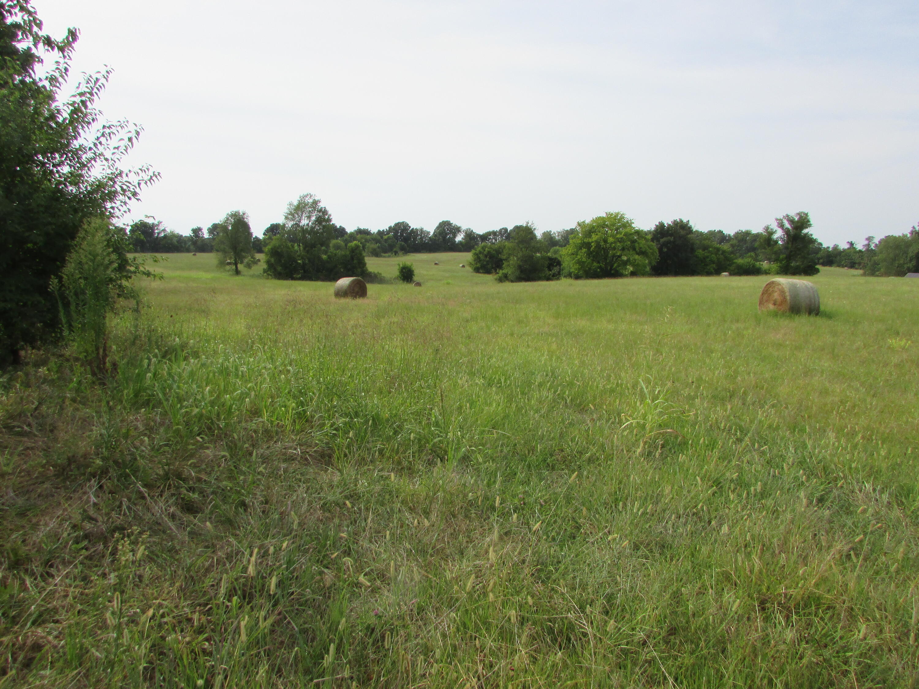 000 South Farm Rd 67 Property Photo 4