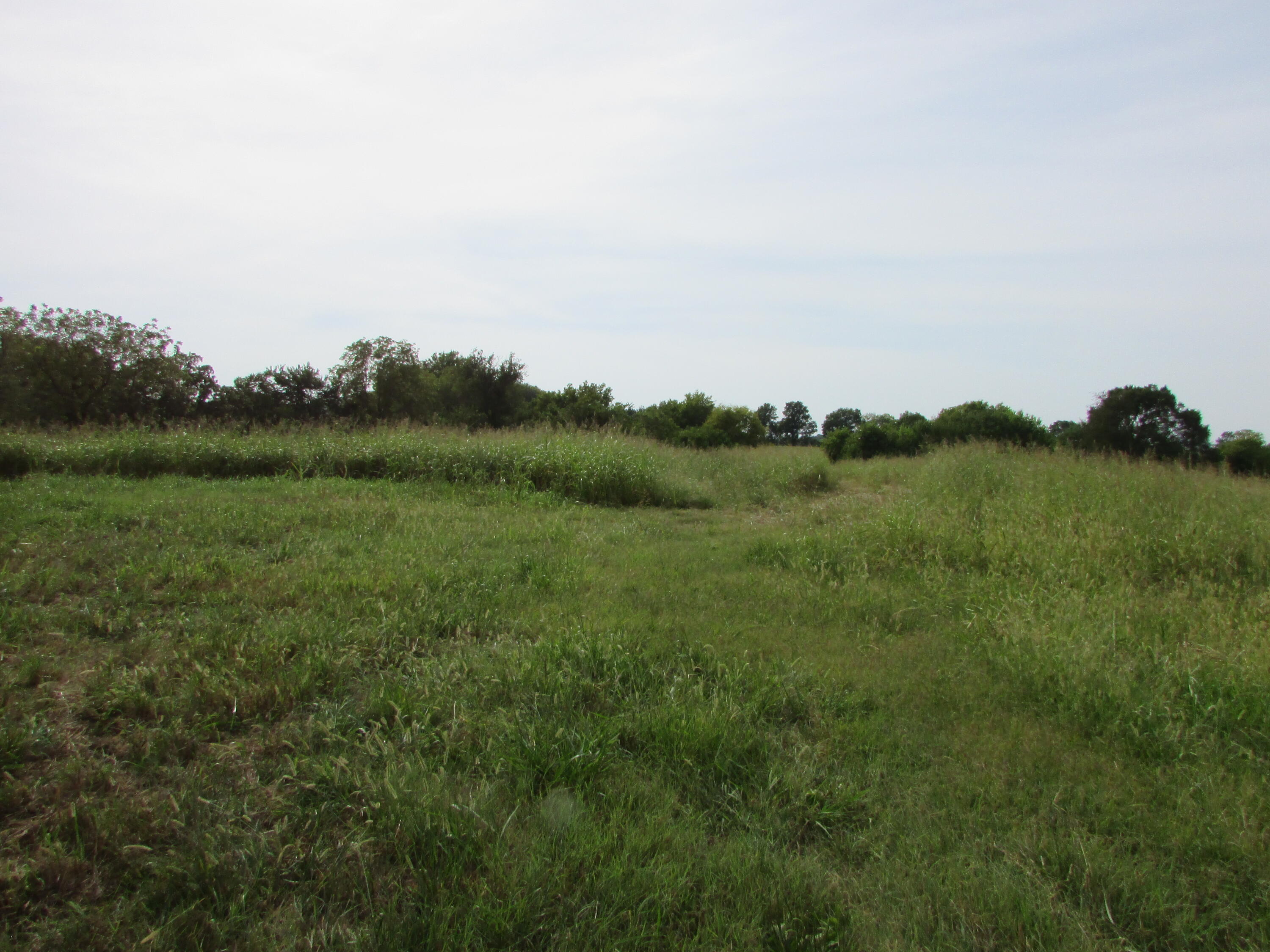 000 South Farm Rd 67 Property Photo 6
