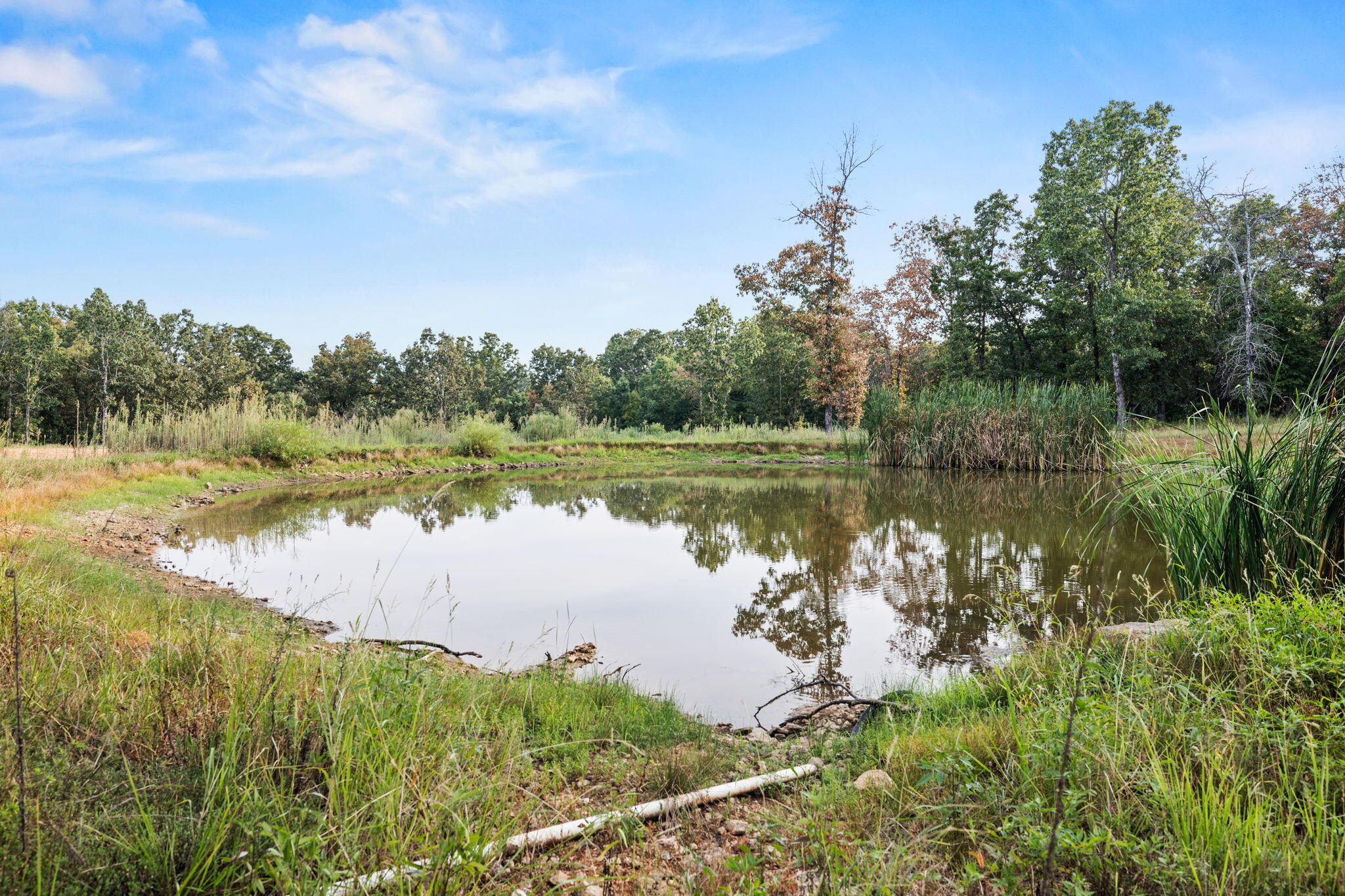 1610 Highway 64 Property Photo 46