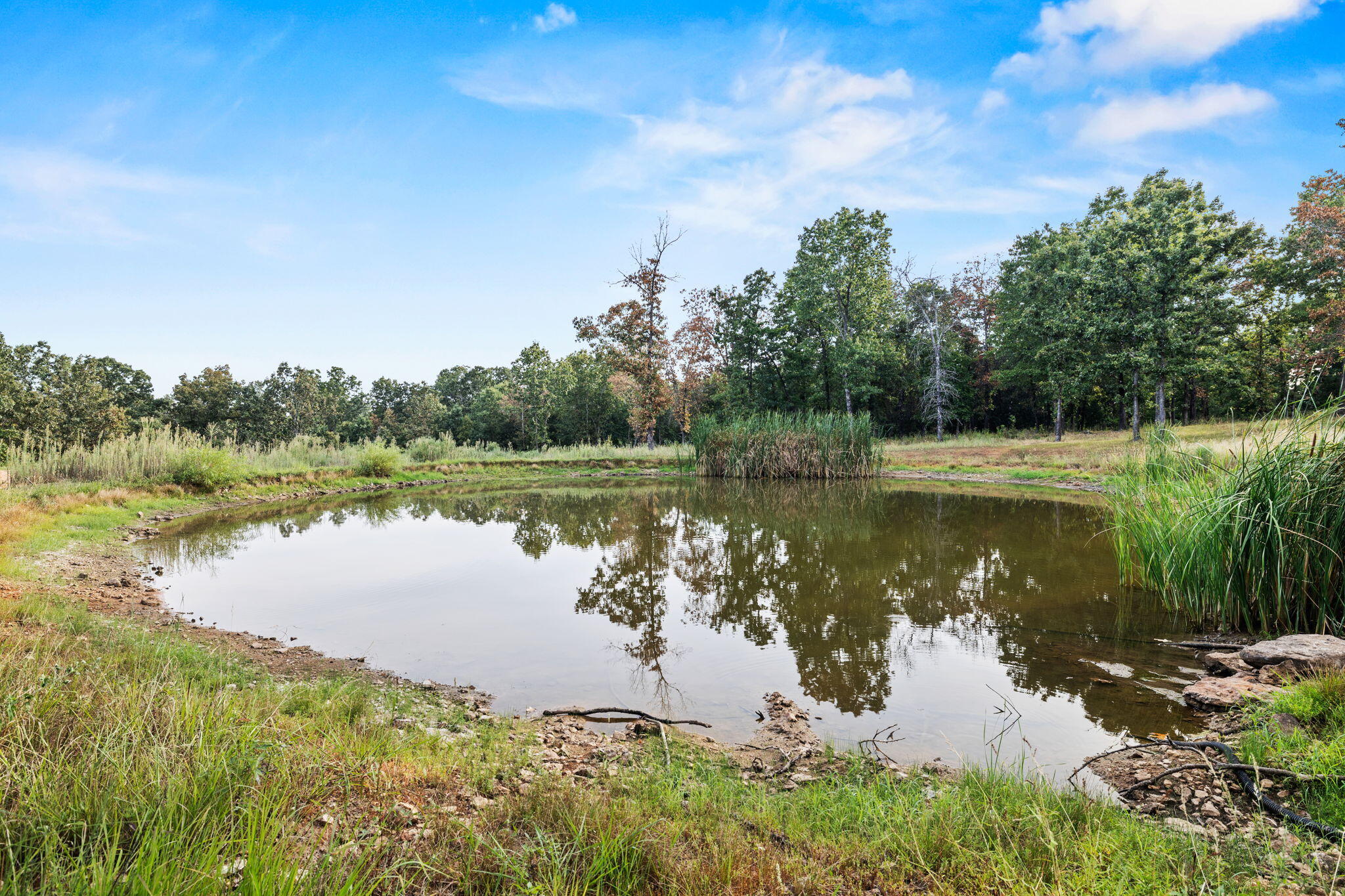 1610 Highway 64 Property Photo 47