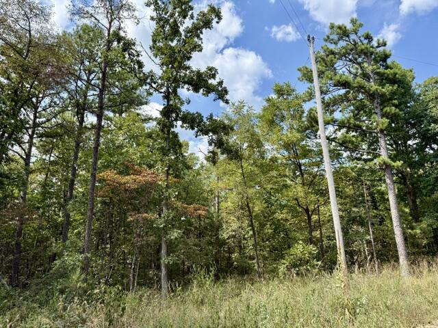 000 Texas Tower Road Property Photo 1