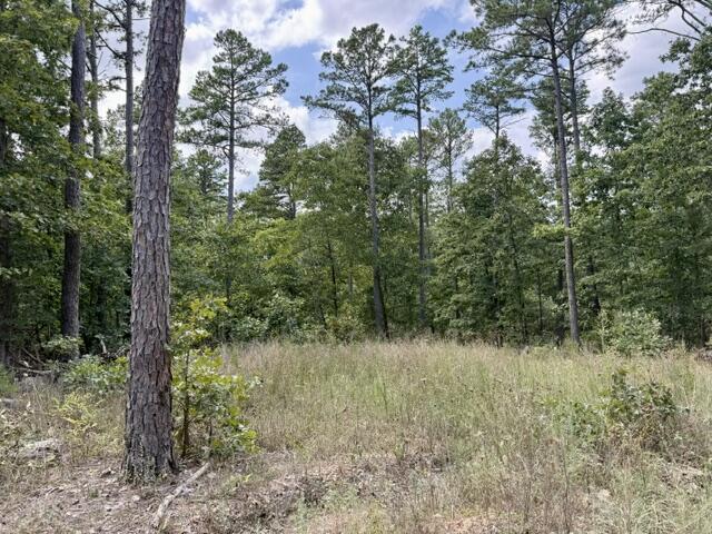 000 Texas Tower Road Property Photo 2