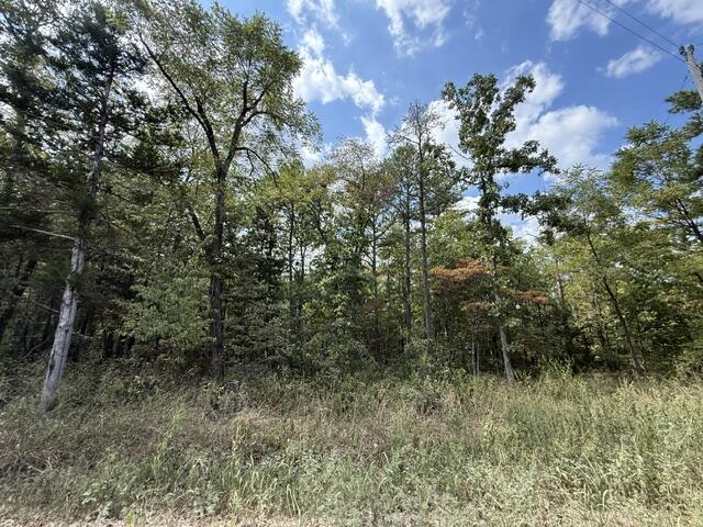 000 Texas Tower Road Property Photo 3