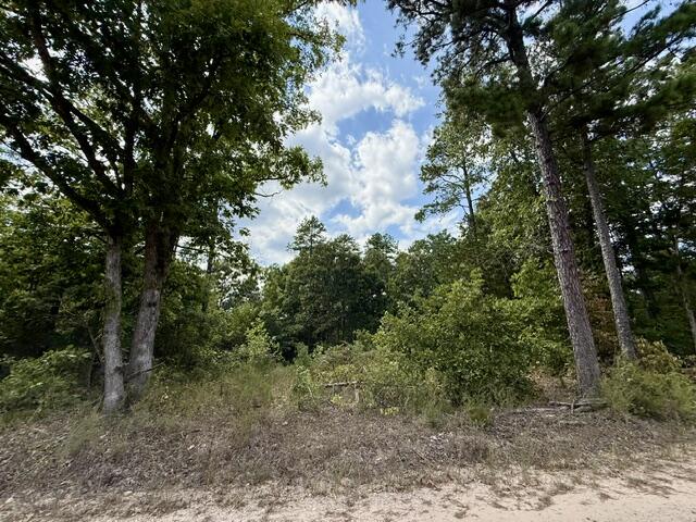 000 Texas Tower Road Property Photo 4