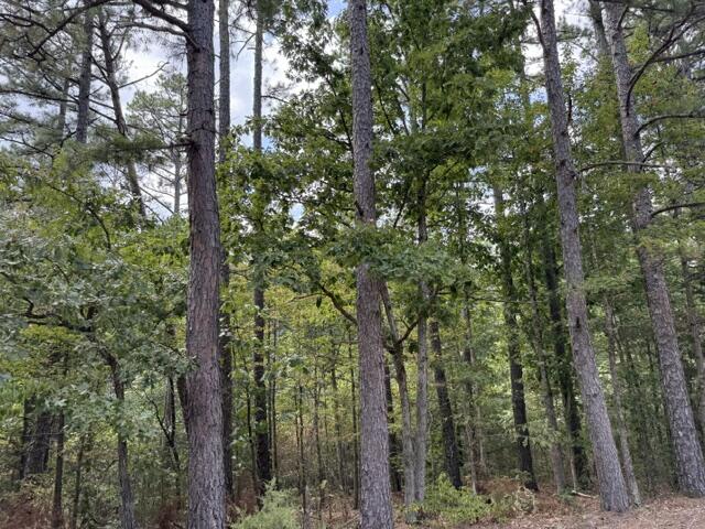 000 Texas Tower Road Property Photo 6