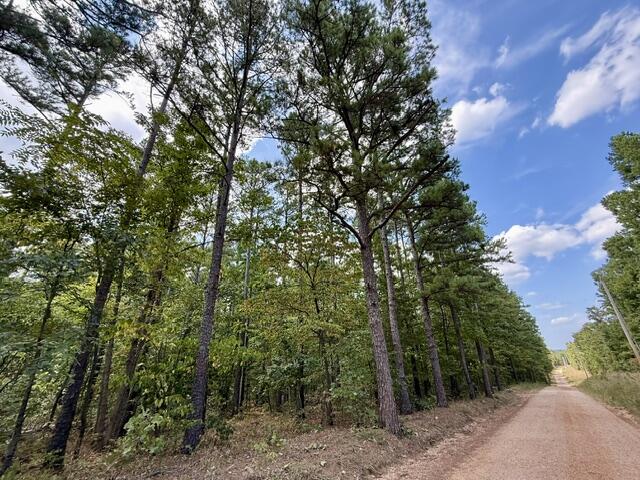 000 Texas Tower Road Property Photo 7
