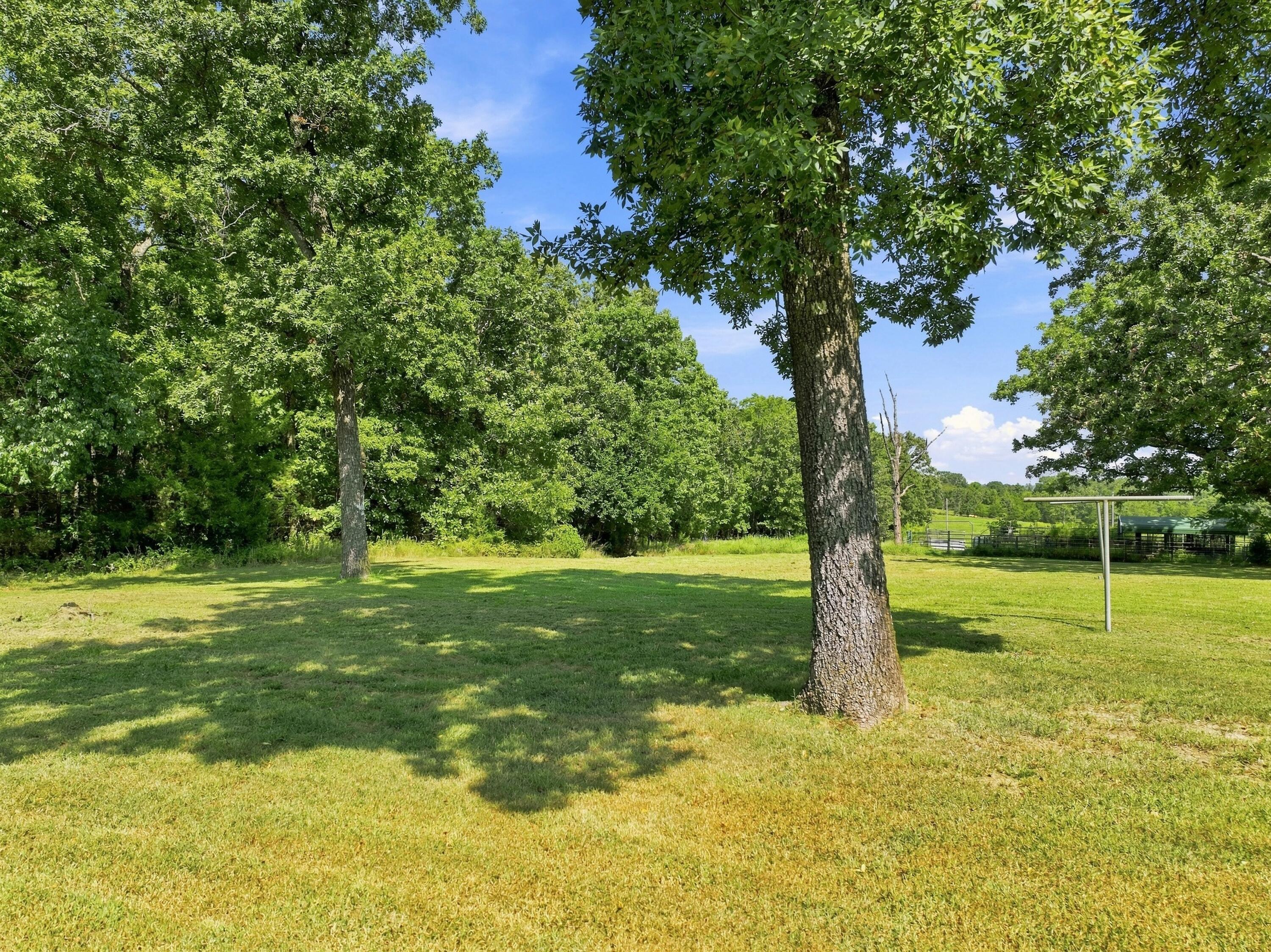 2804 Amon Drive Property Photo 14