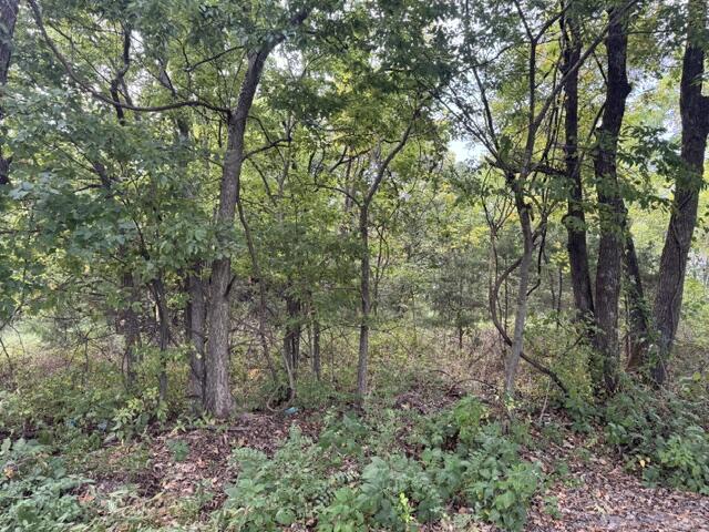 137 Tie Road Property Photo 1
