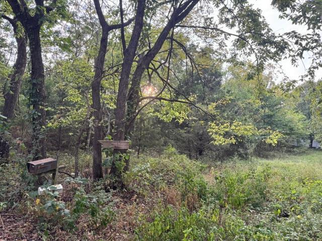 137 Tie Road Property Photo 2