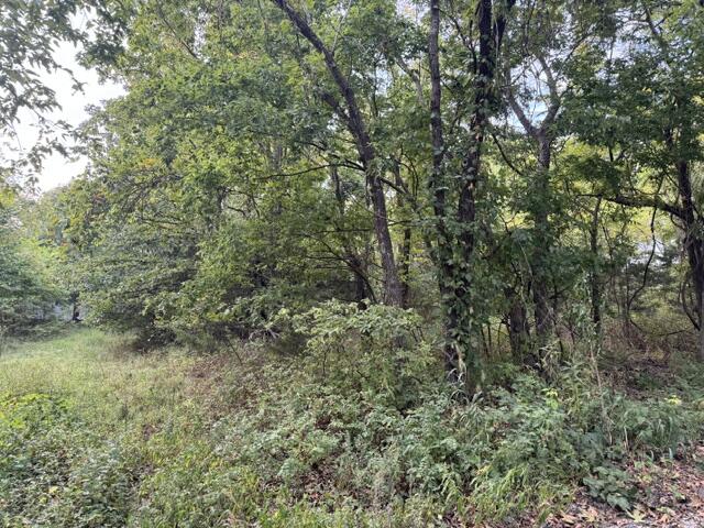 137 Tie Road Property Photo 3