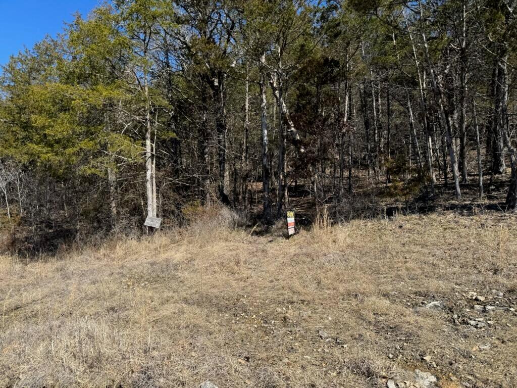 56(lot 56) Ranch Road Property Photo 4