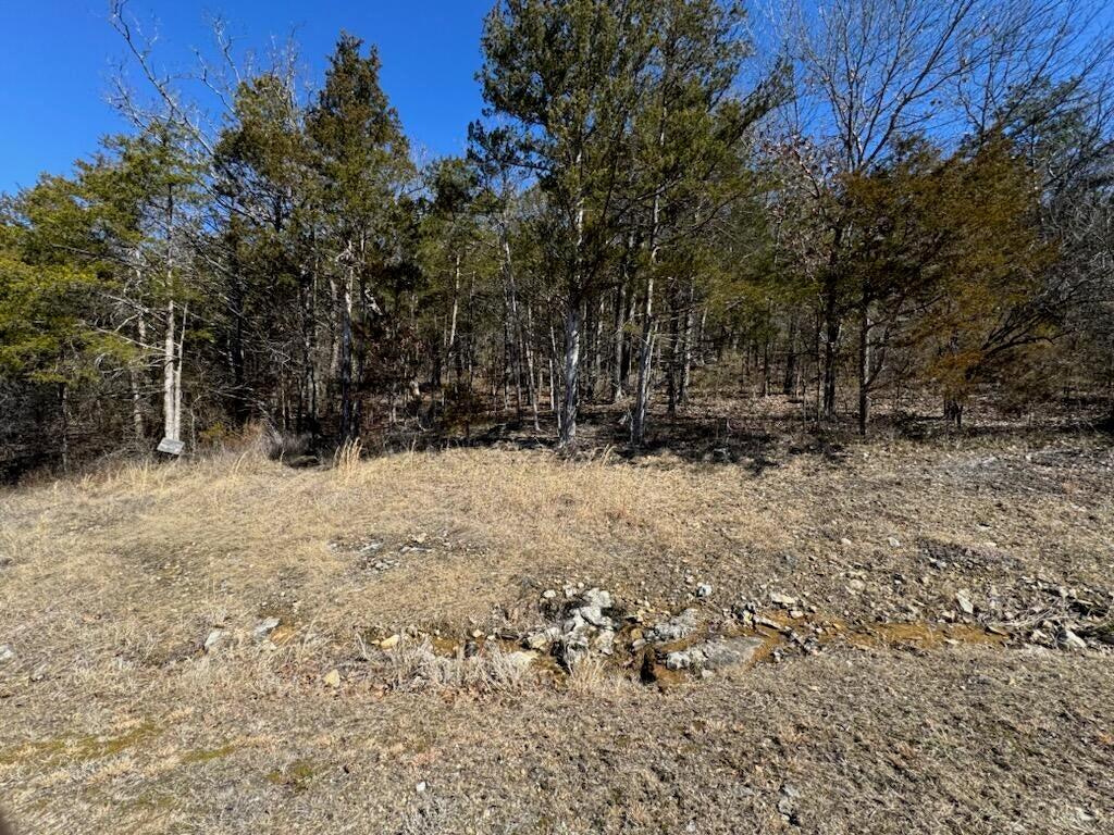 56(lot 56) Ranch Road Property Photo 5
