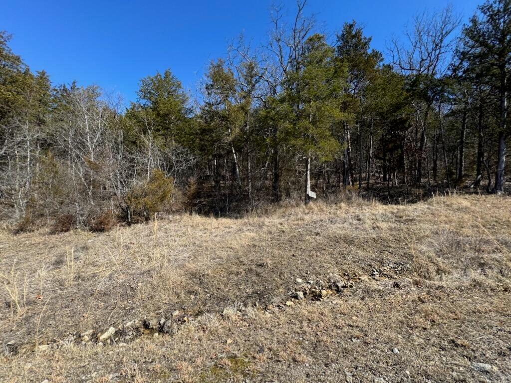 56(lot 56) Ranch Road Property Photo 6