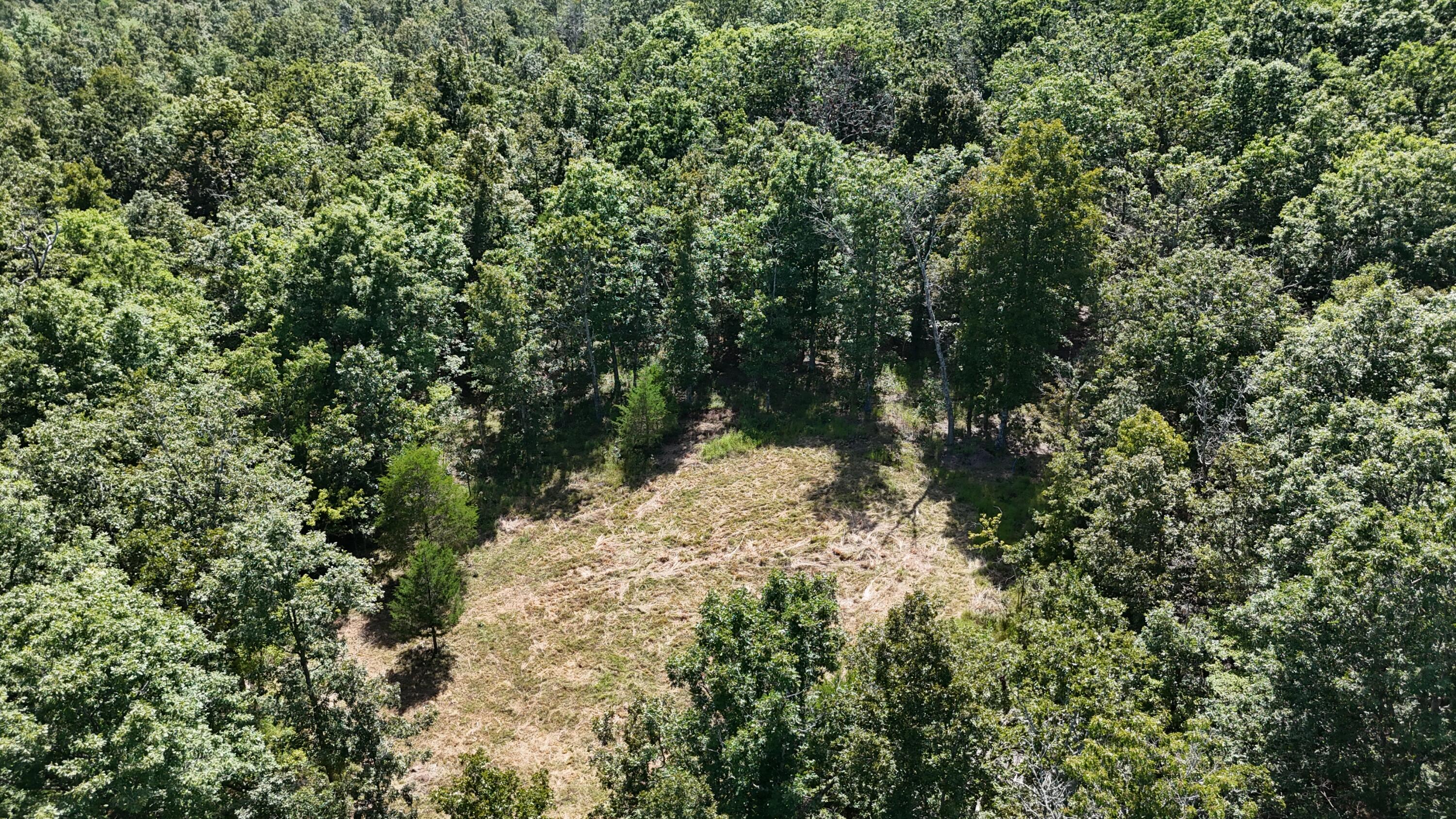 000 County Road 1990 Property Photo 34