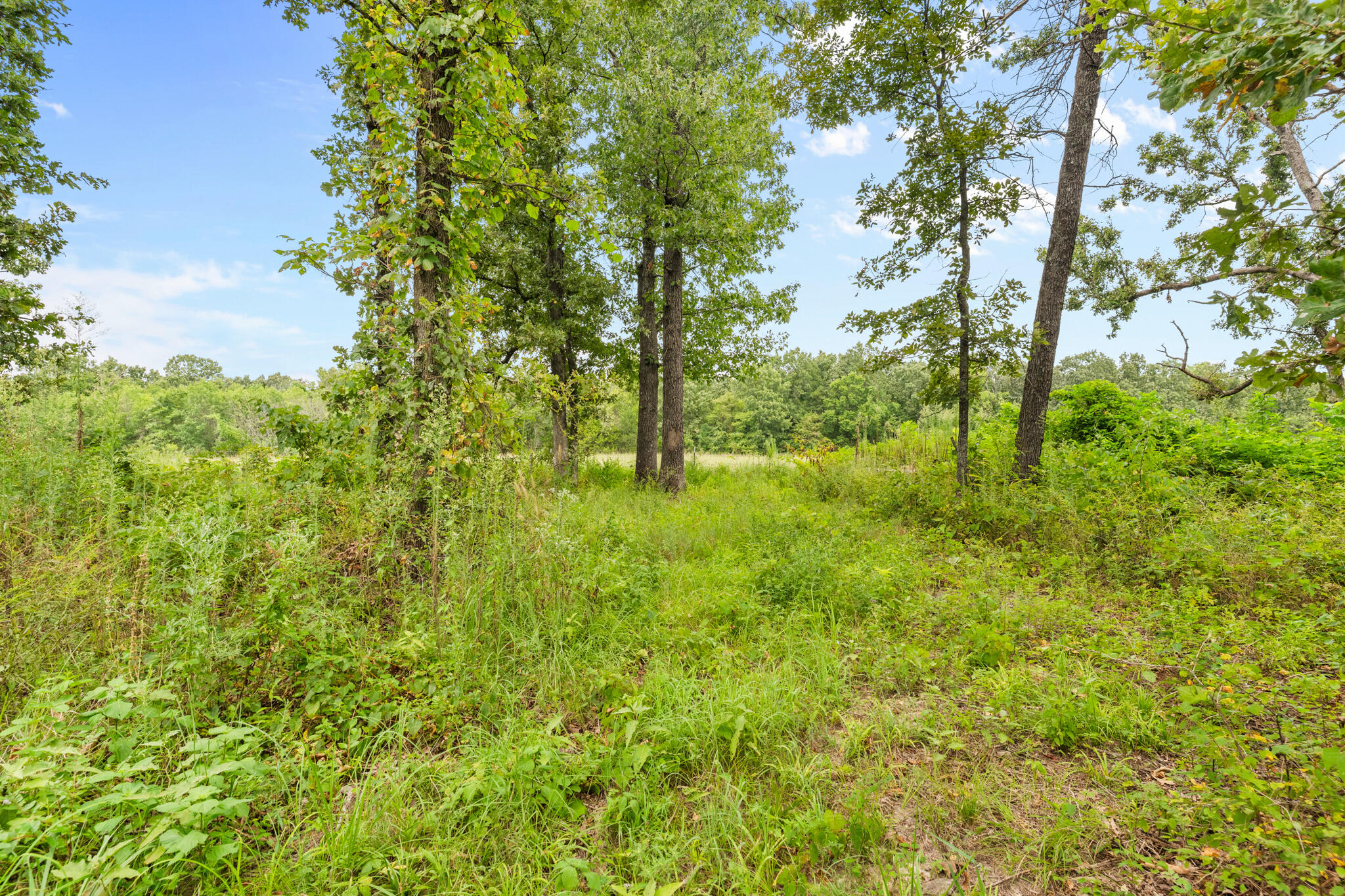 47 Karen Drive Property Photo 27