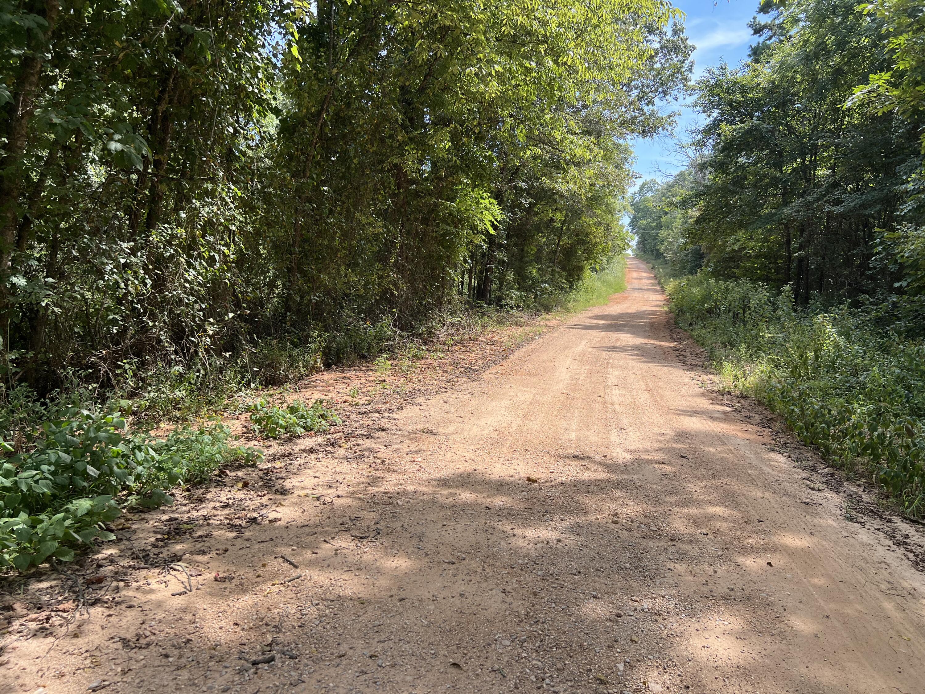 000 County Road F-147 Property Photo 4