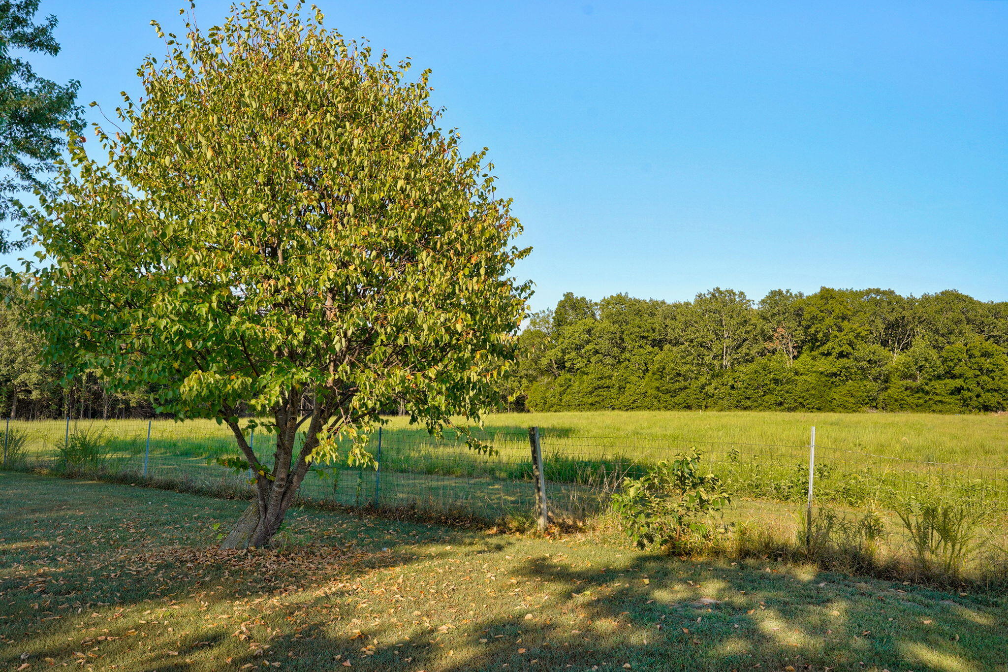 788 State Road H Property Photo 27