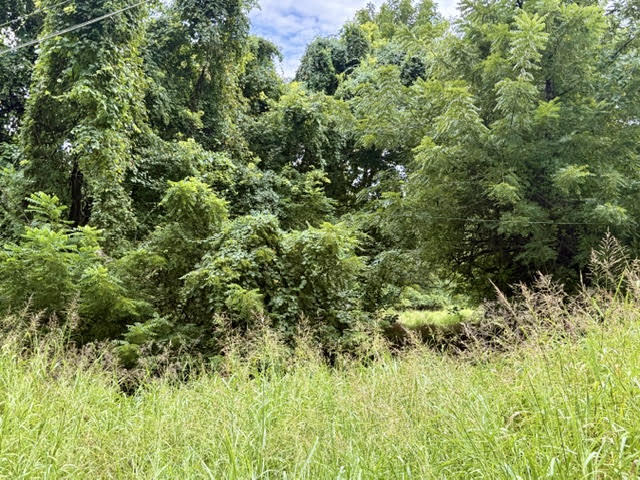 000 East Grand - 6.97 Acre M/l Street Property Photo 2