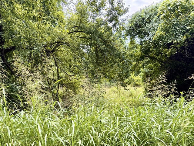 000 East Grand - 6.97 Acre M/l Street Property Photo 3