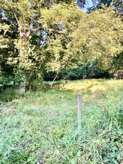 000 East Grand - 6.97 Acre M/l Street Property Photo 4