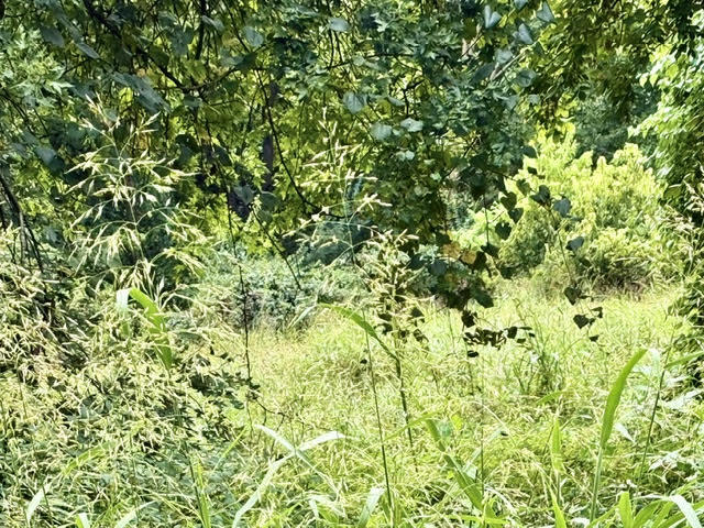 000 East Grand - 6.97 Acre M/l Street Property Photo 5