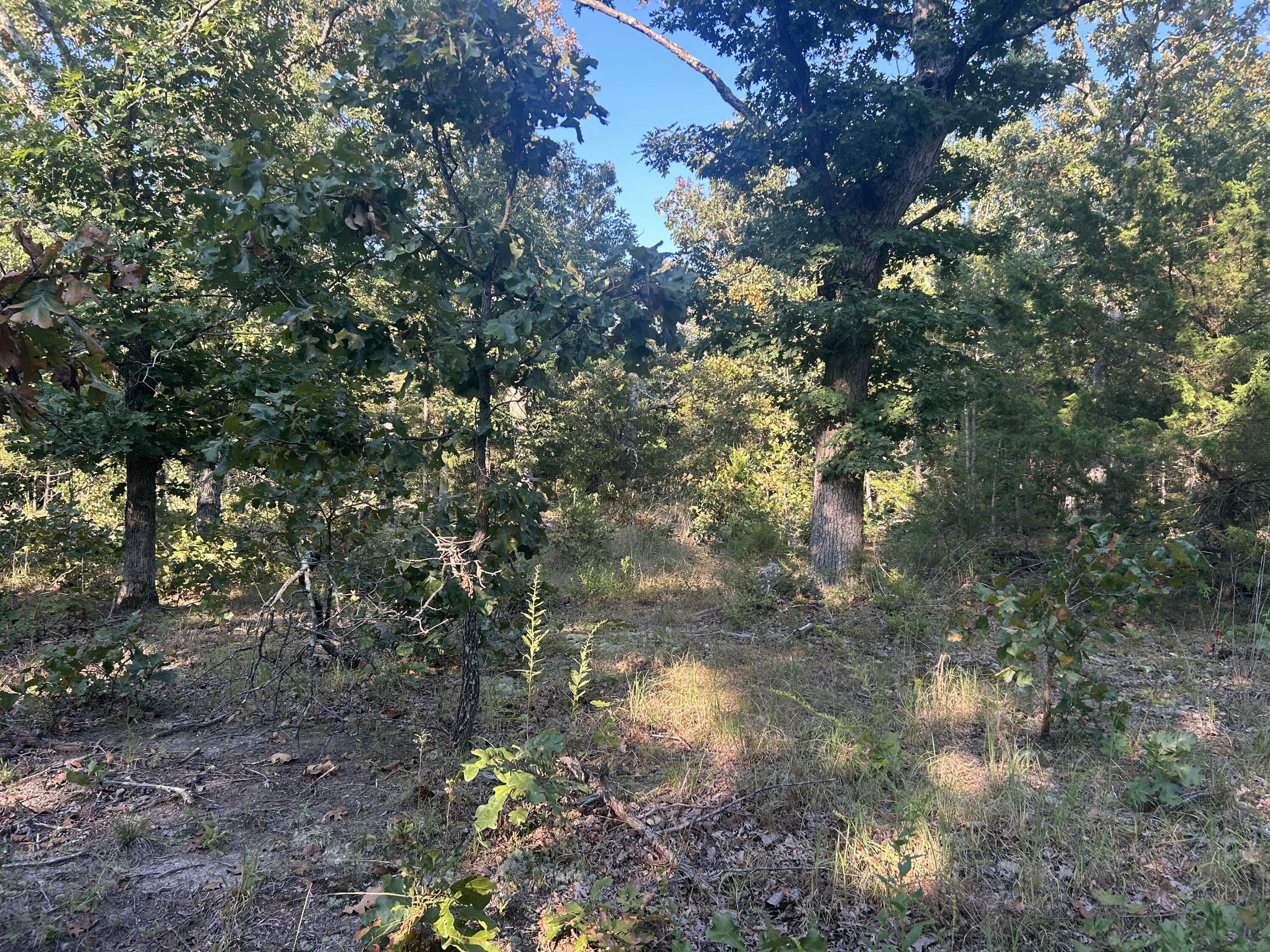 000 County Road 2340 Property Photo 1
