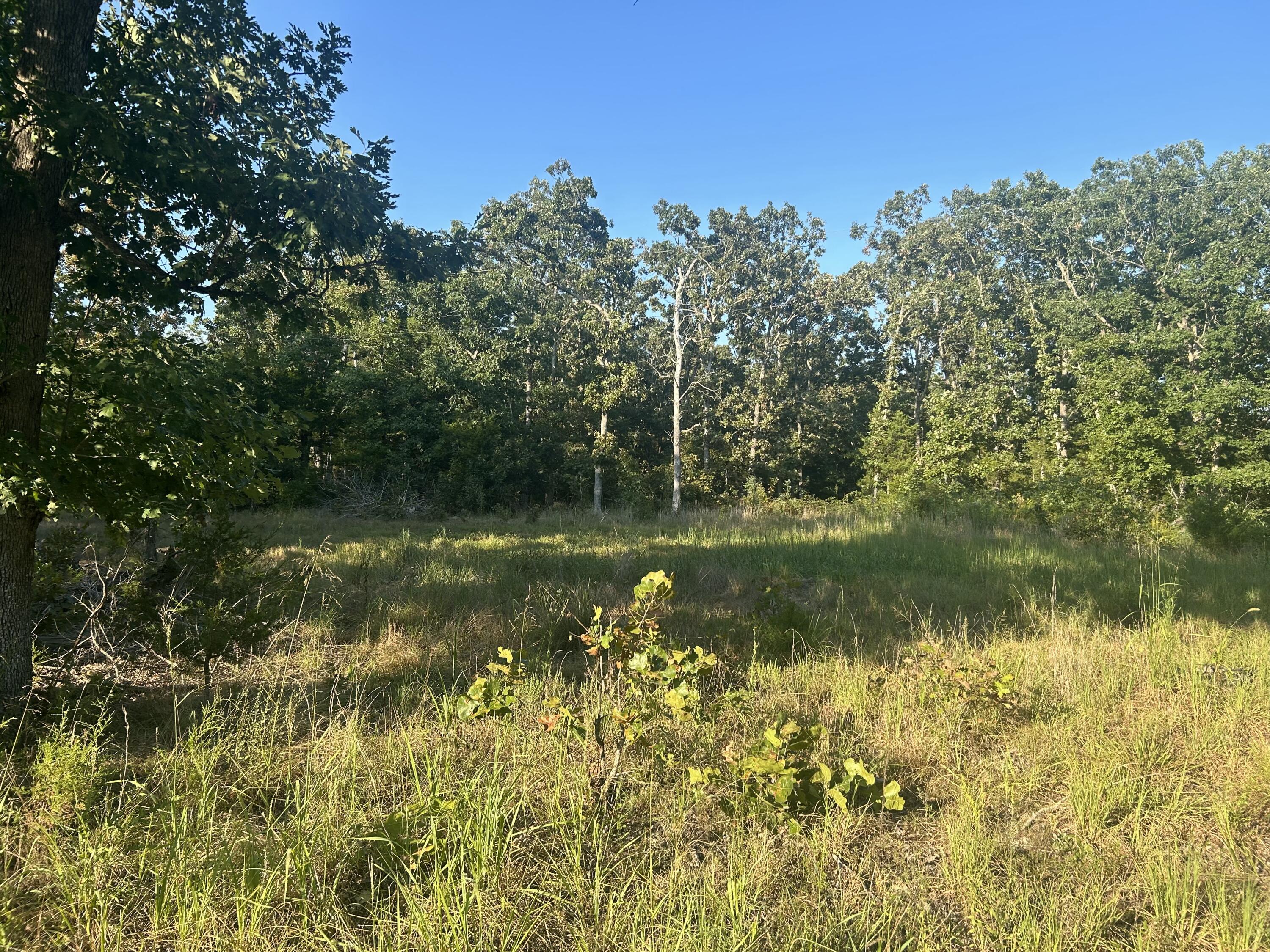 000 County Road 2340 Property Photo 4