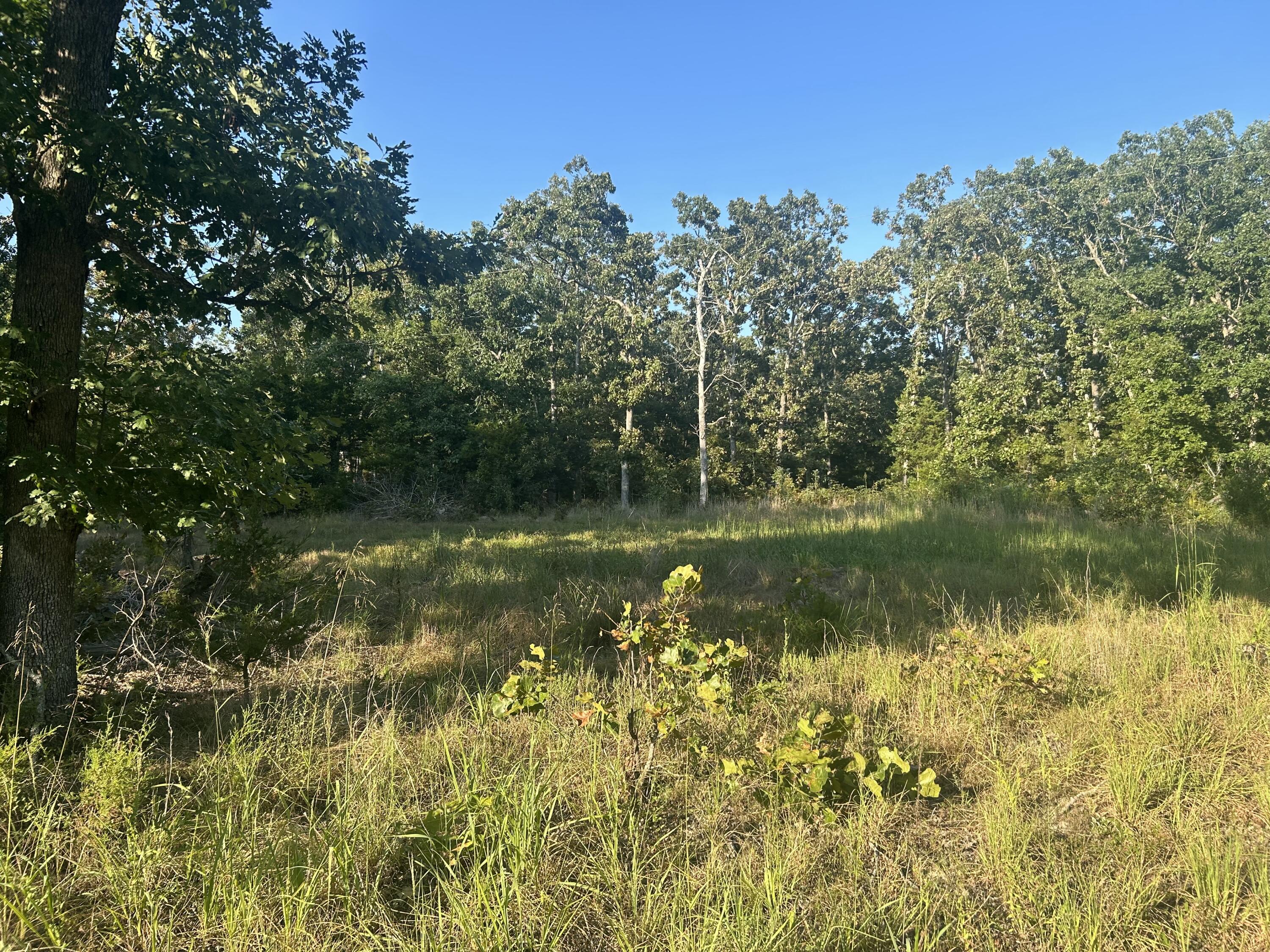 000 County Road 2340 Property Photo 5