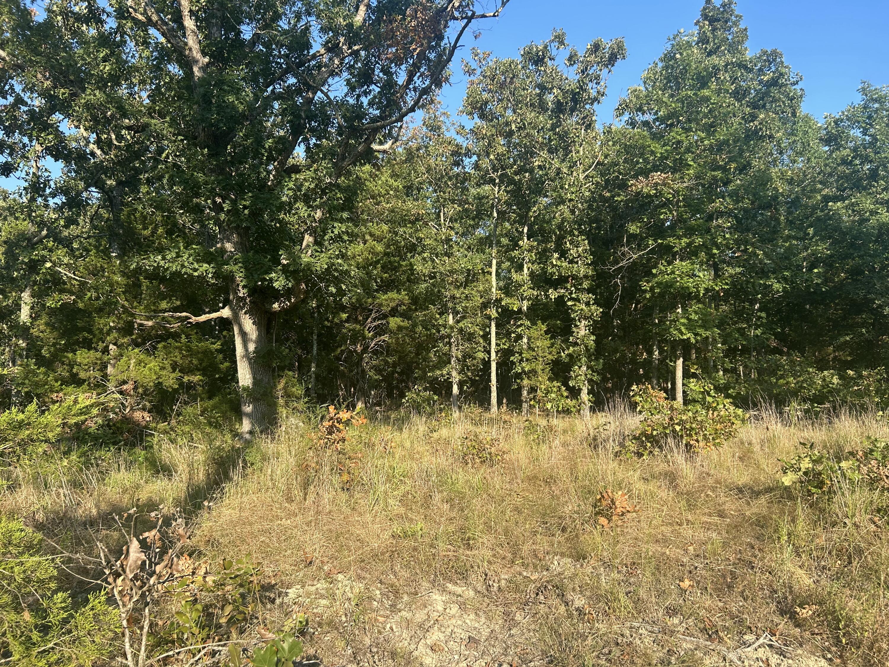 000 County Road 2340 Property Photo 7