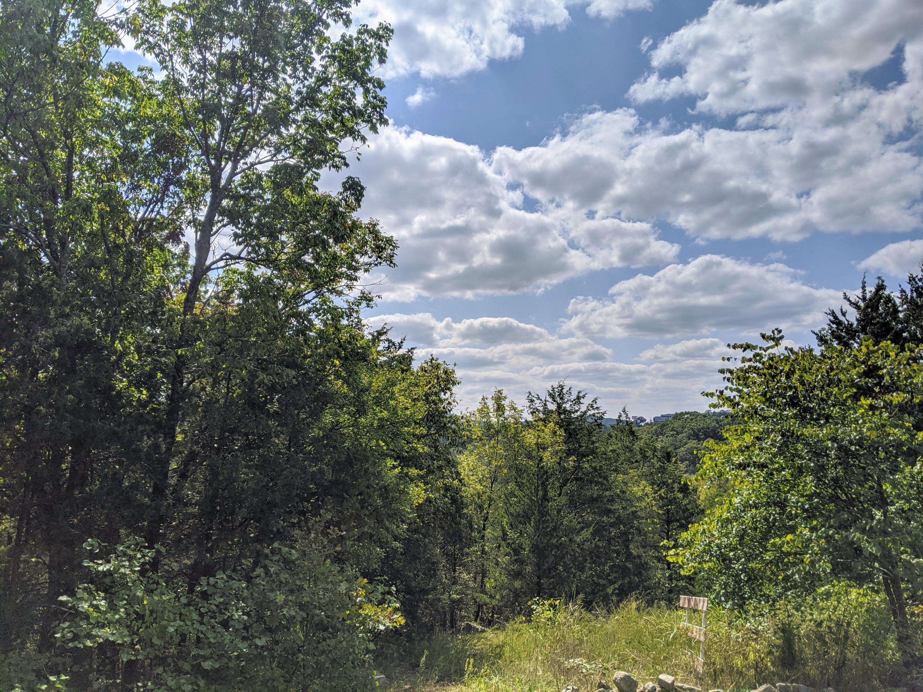 000 Shady Drive Property Photo 4