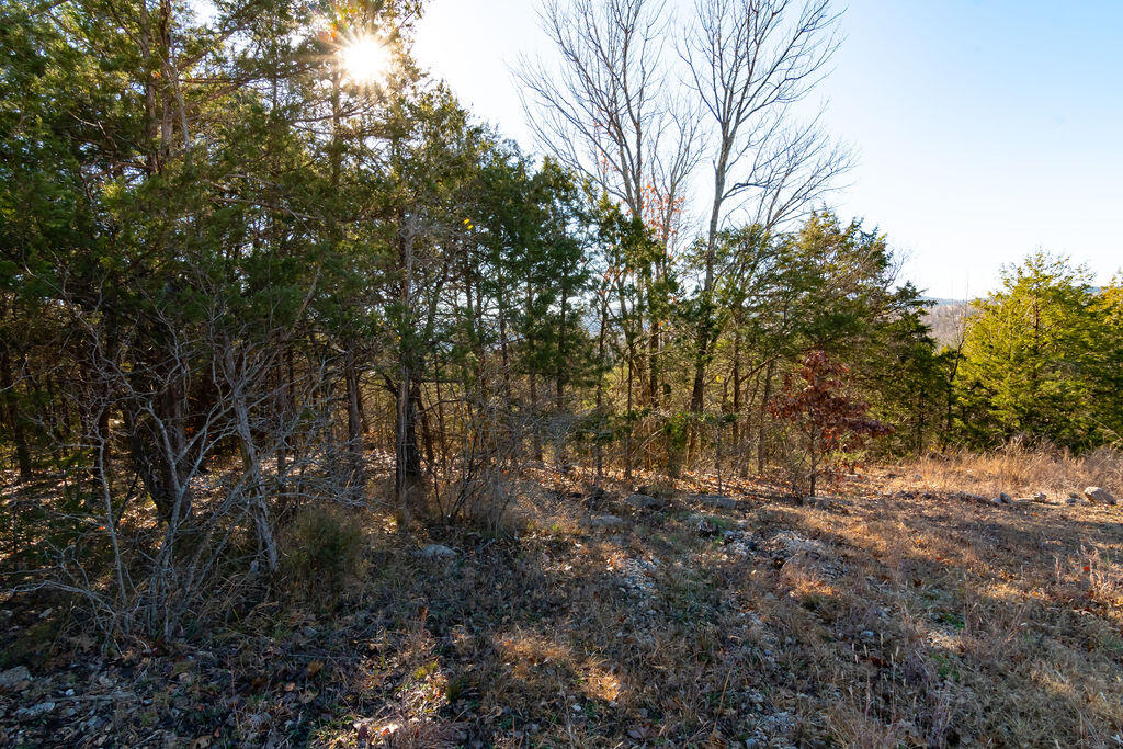 000 Shady Drive Property Photo 14