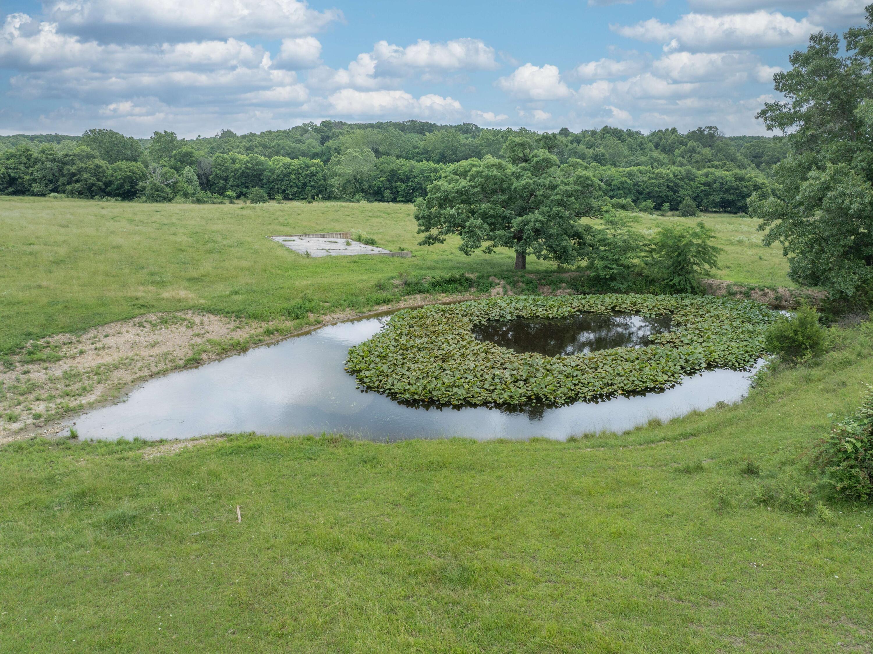 10780 State Hwy Kk Property Photo 49