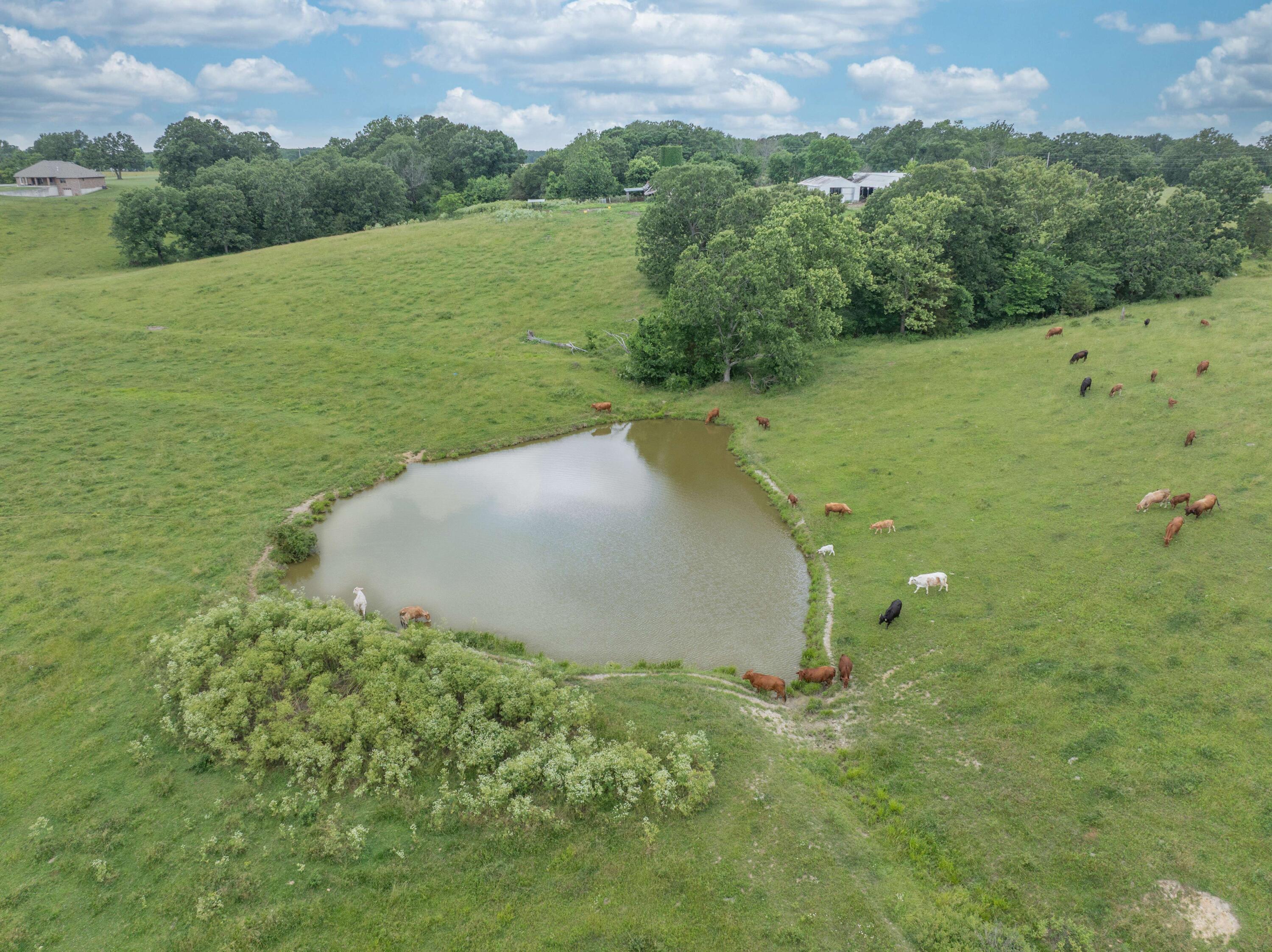 10780 State Hwy Kk Property Photo 50