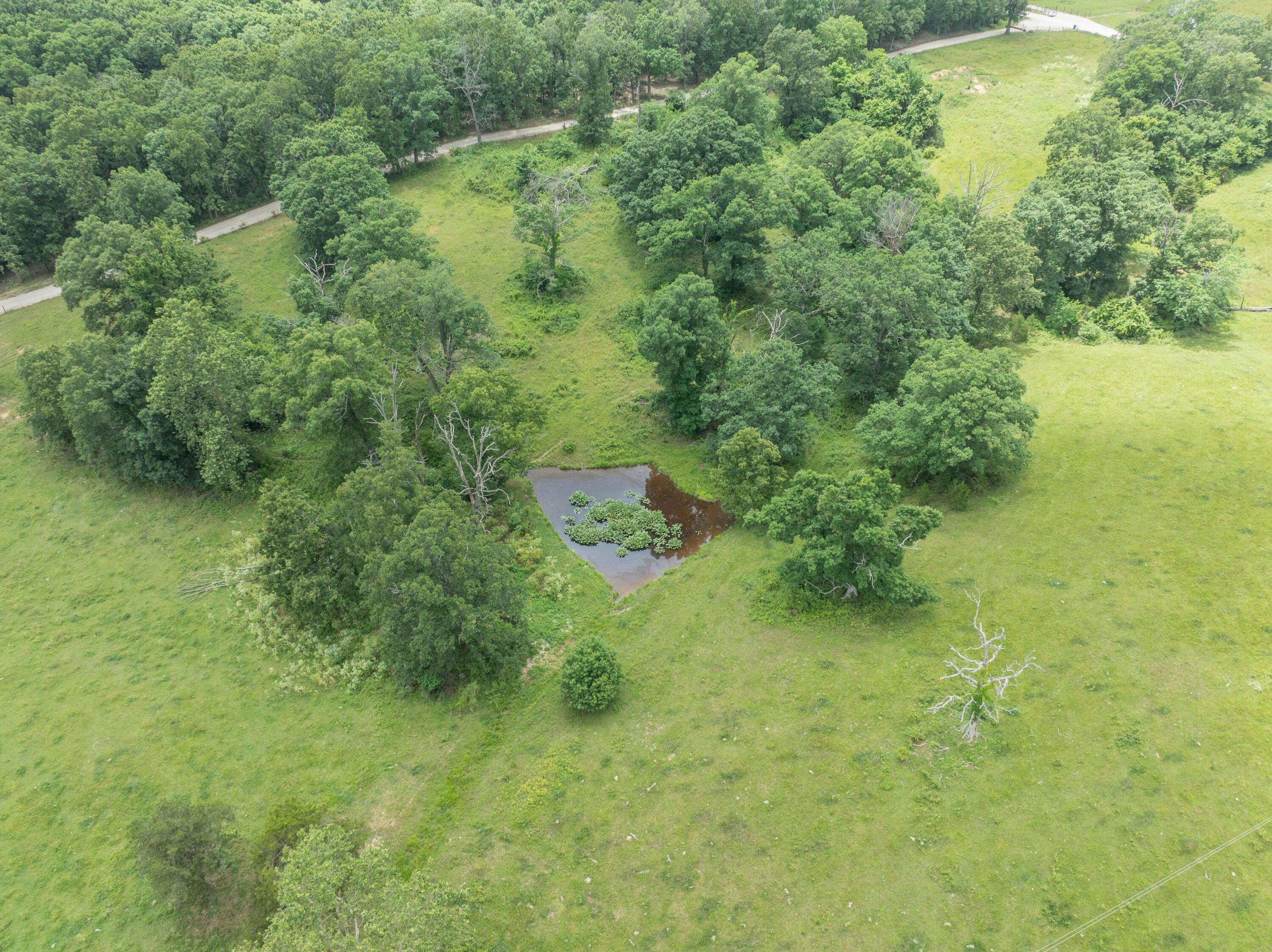 10780 State Hwy Kk Property Photo 68