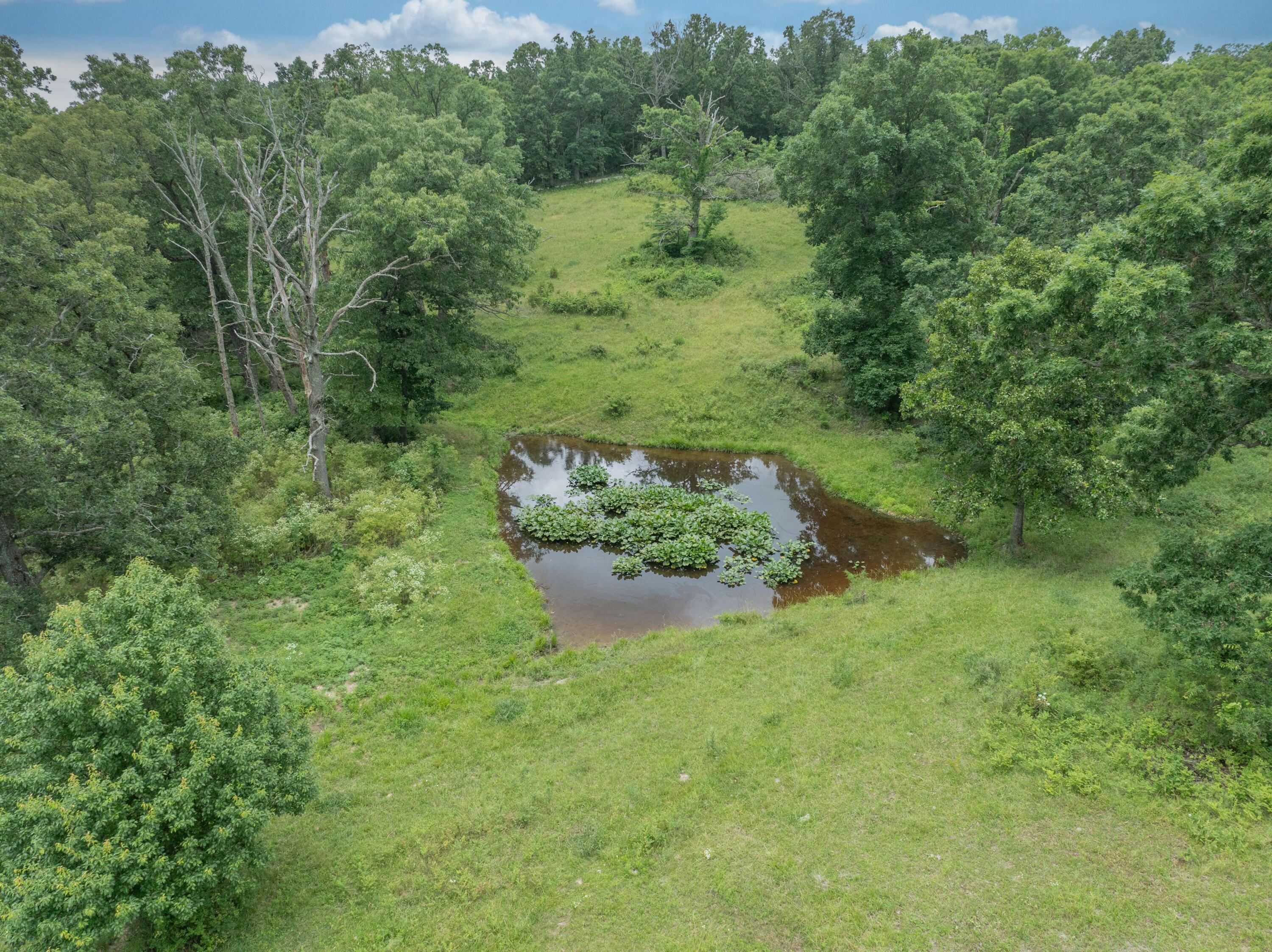 10780 State Hwy Kk Property Photo 70
