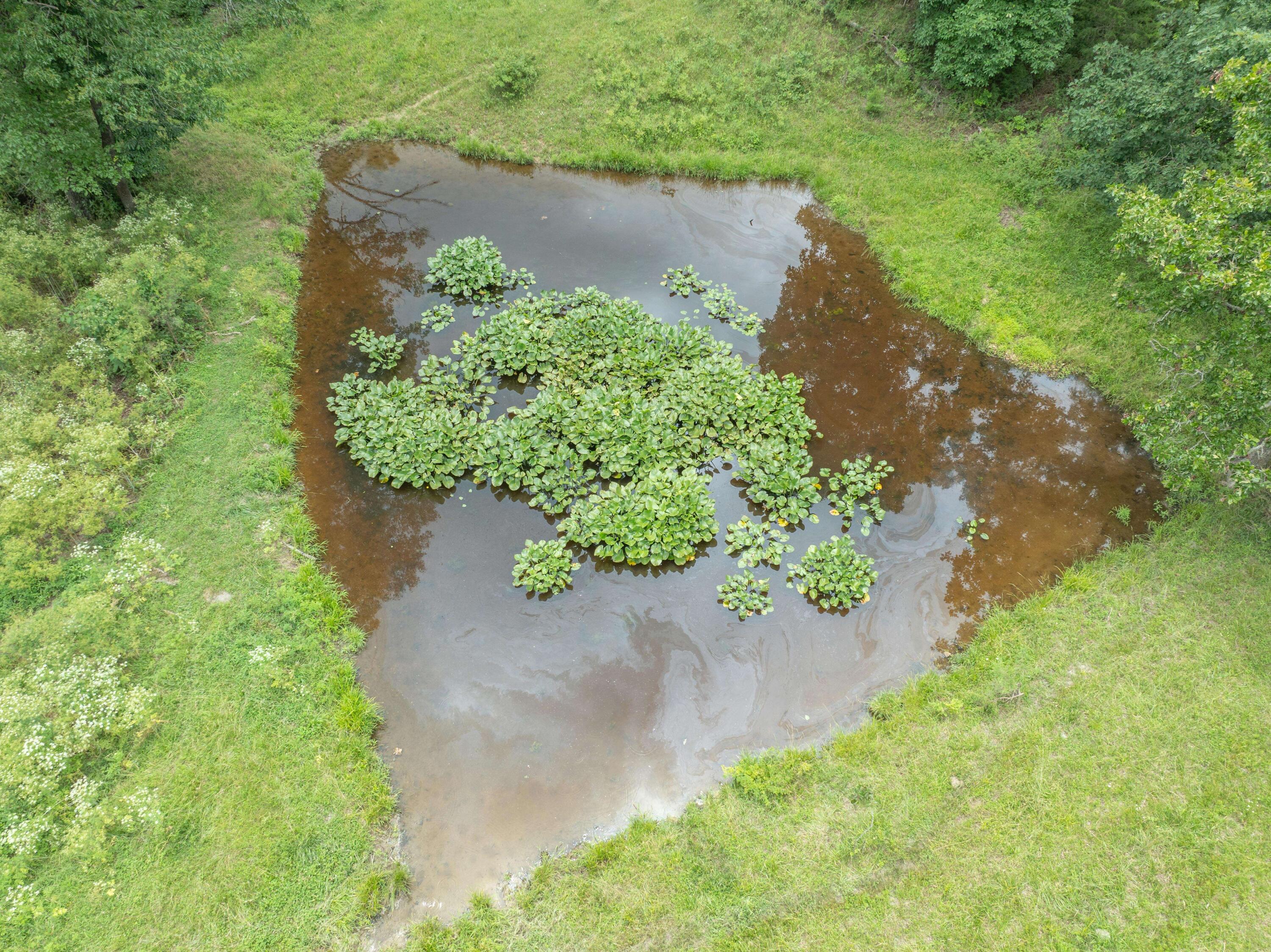10780 State Hwy Kk Property Photo 71