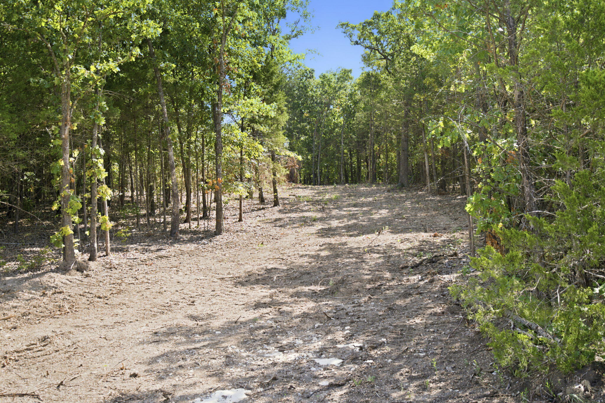 000 Critter Trail Property Photo 12