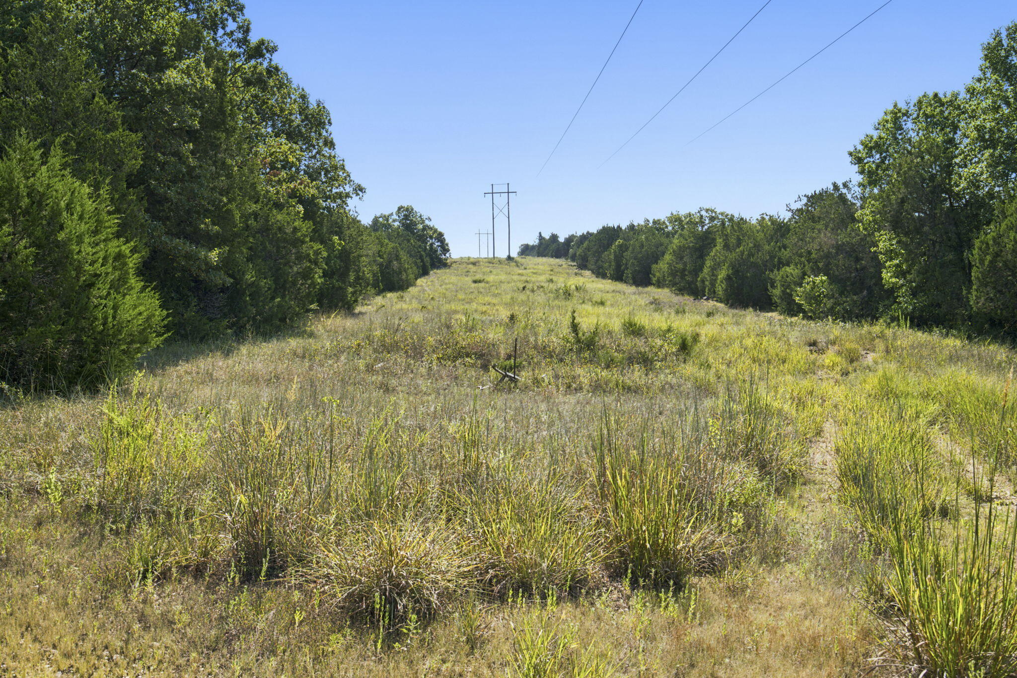 000 Critter Trail Property Photo 17