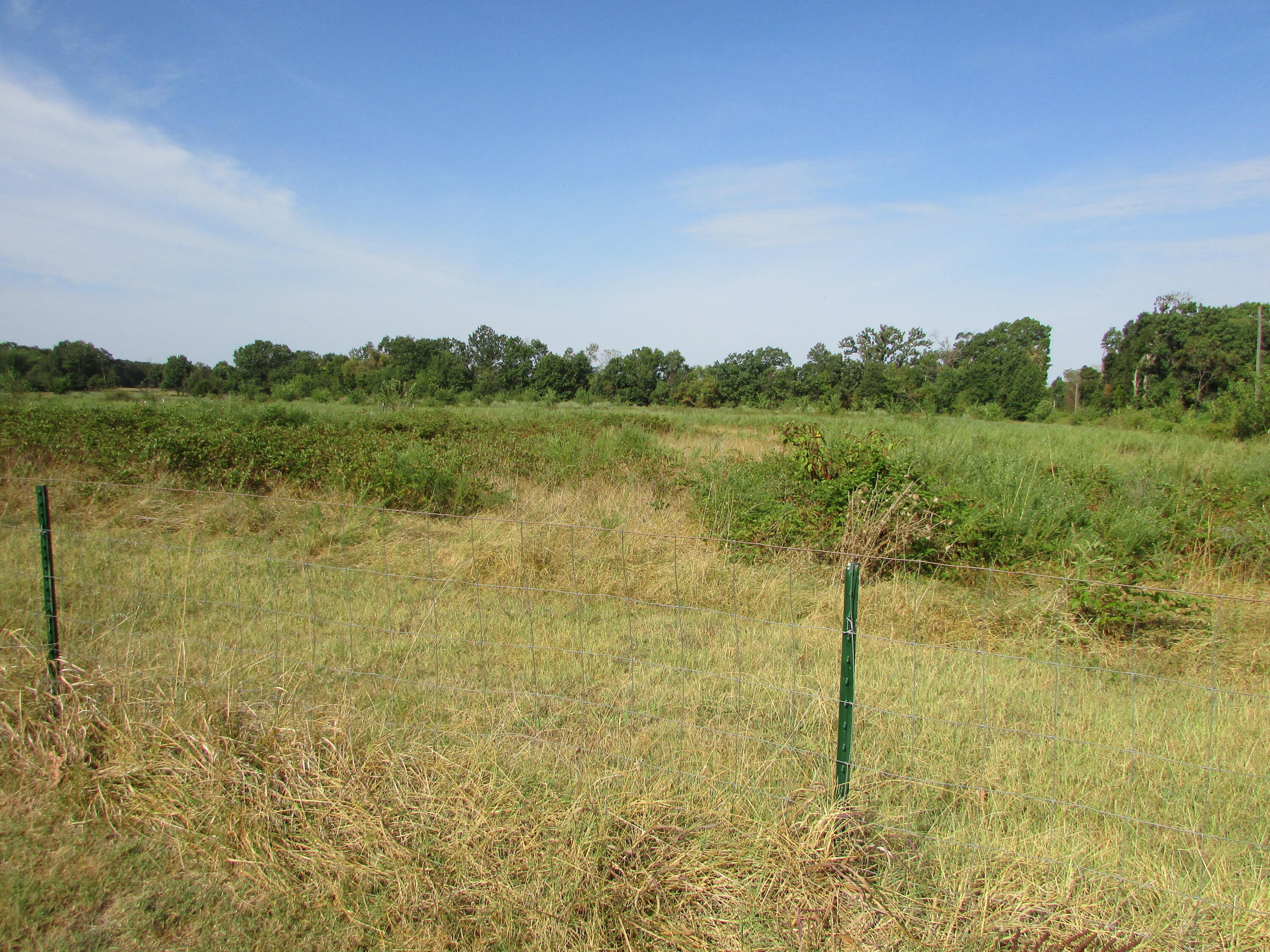 7770 Marten Road Property Photo 13