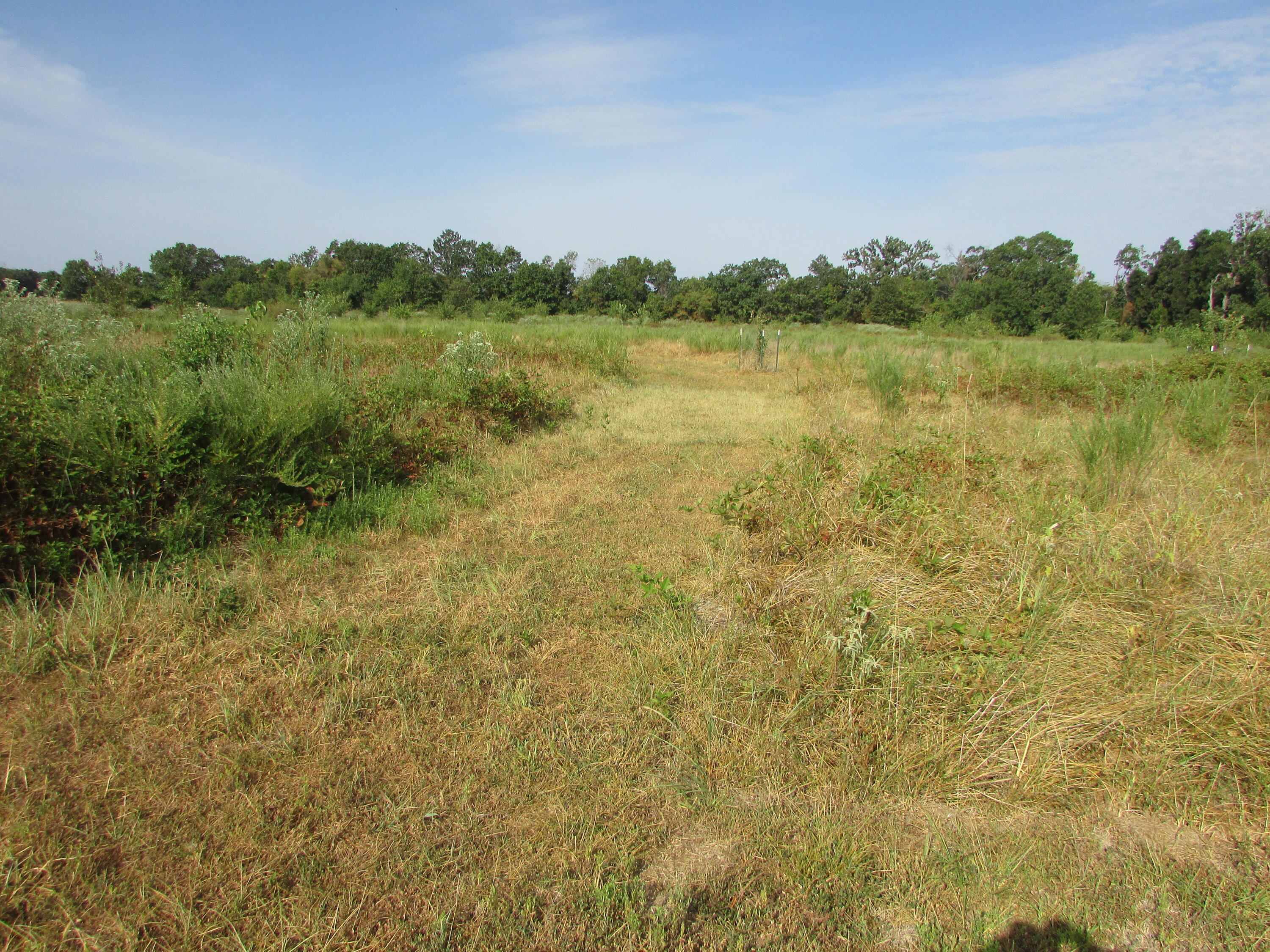 7770 Marten Road Property Photo 14
