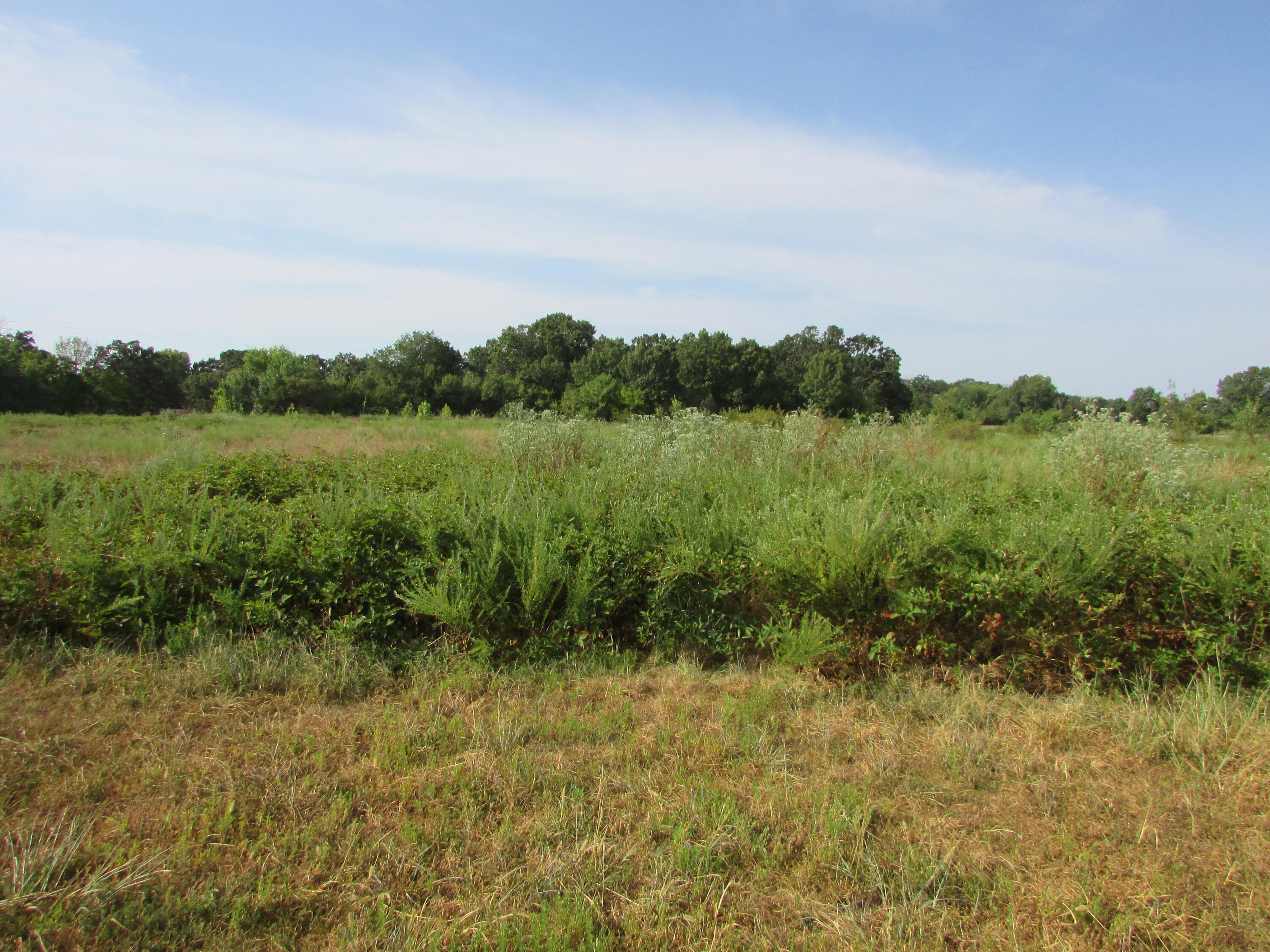 7770 Marten Road Property Photo 16