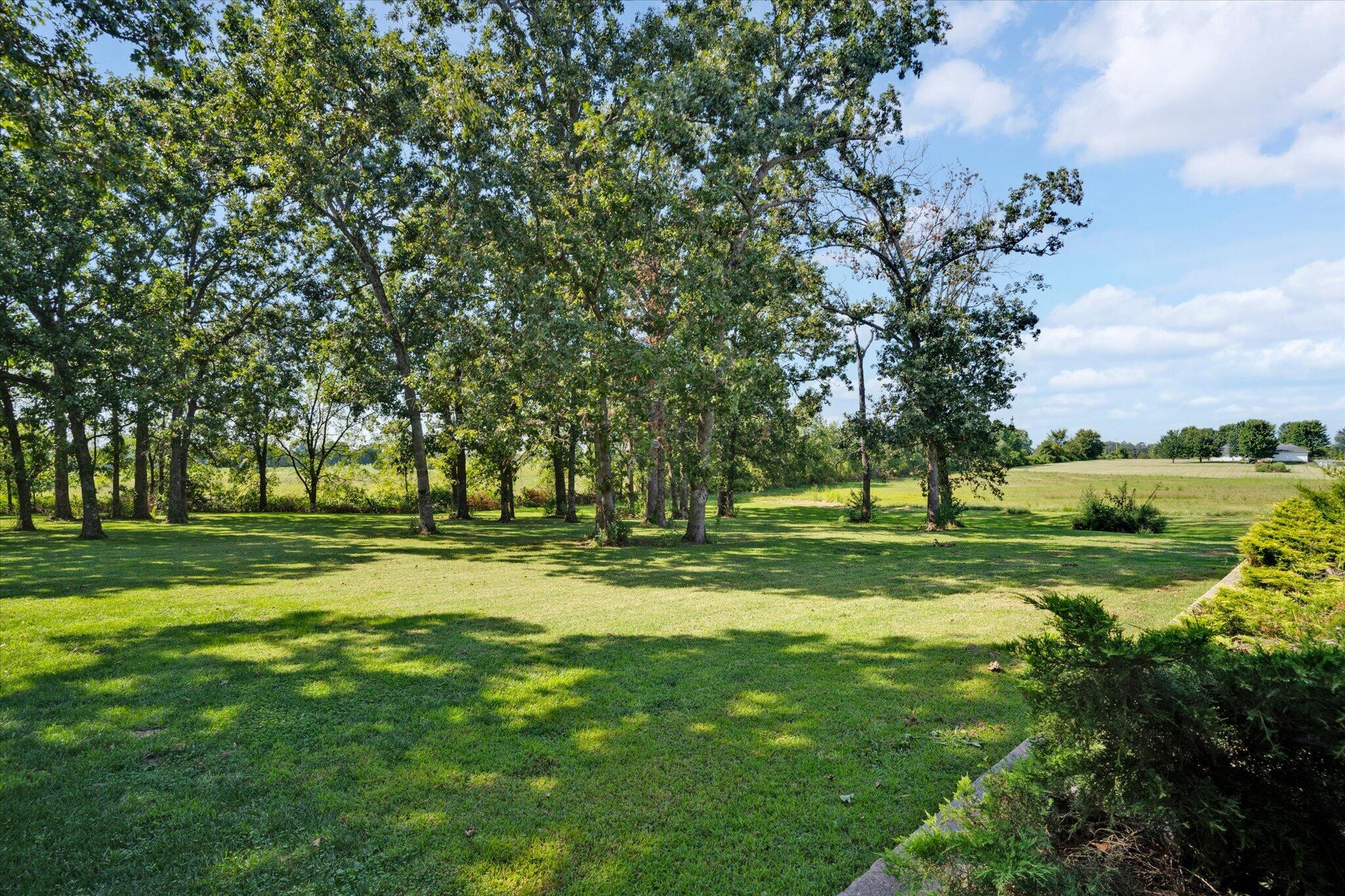 203 Reunion Acres Property Photo 51